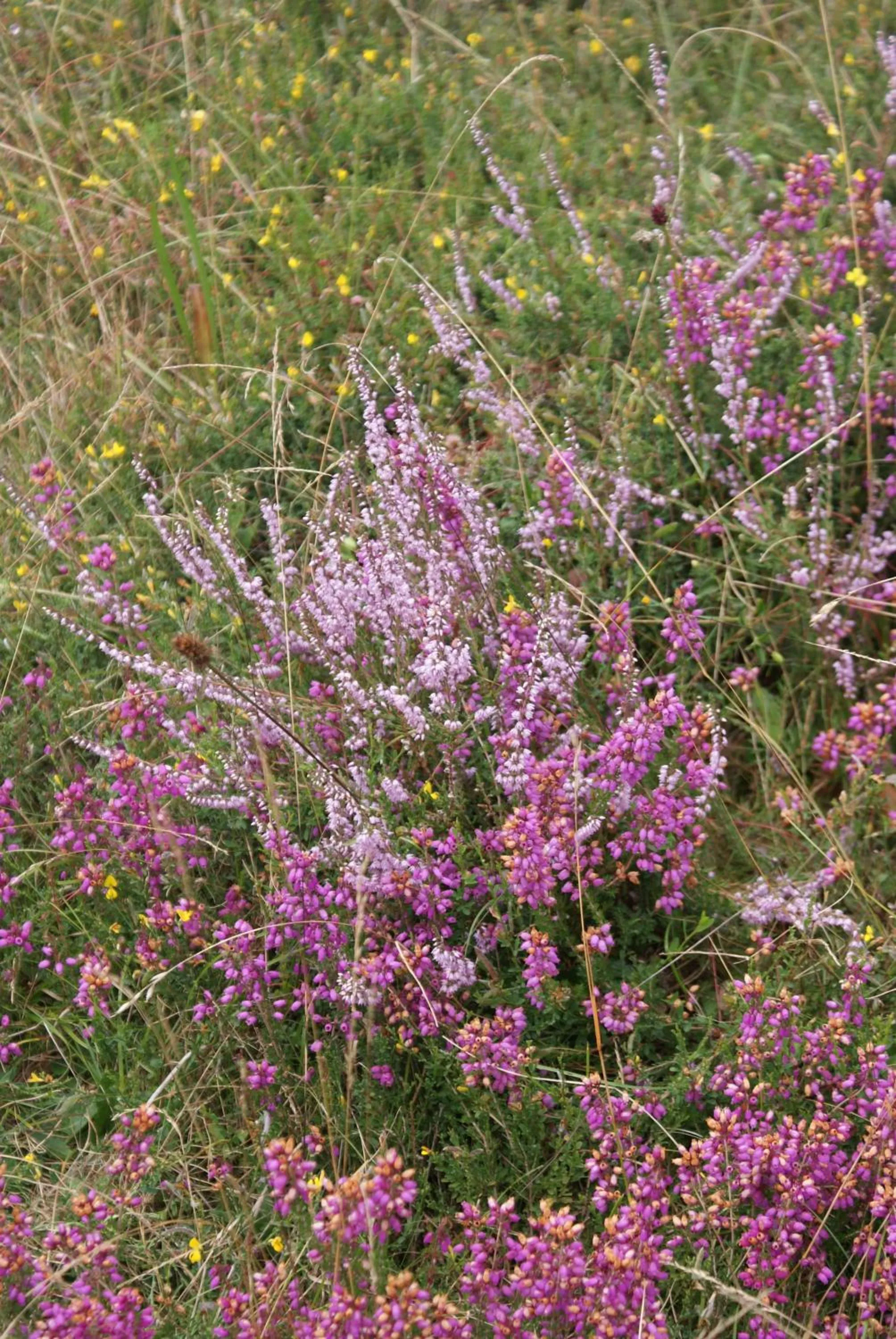 Natural landscape in MOULIN DE LACHAUD - HOTEL et GITES