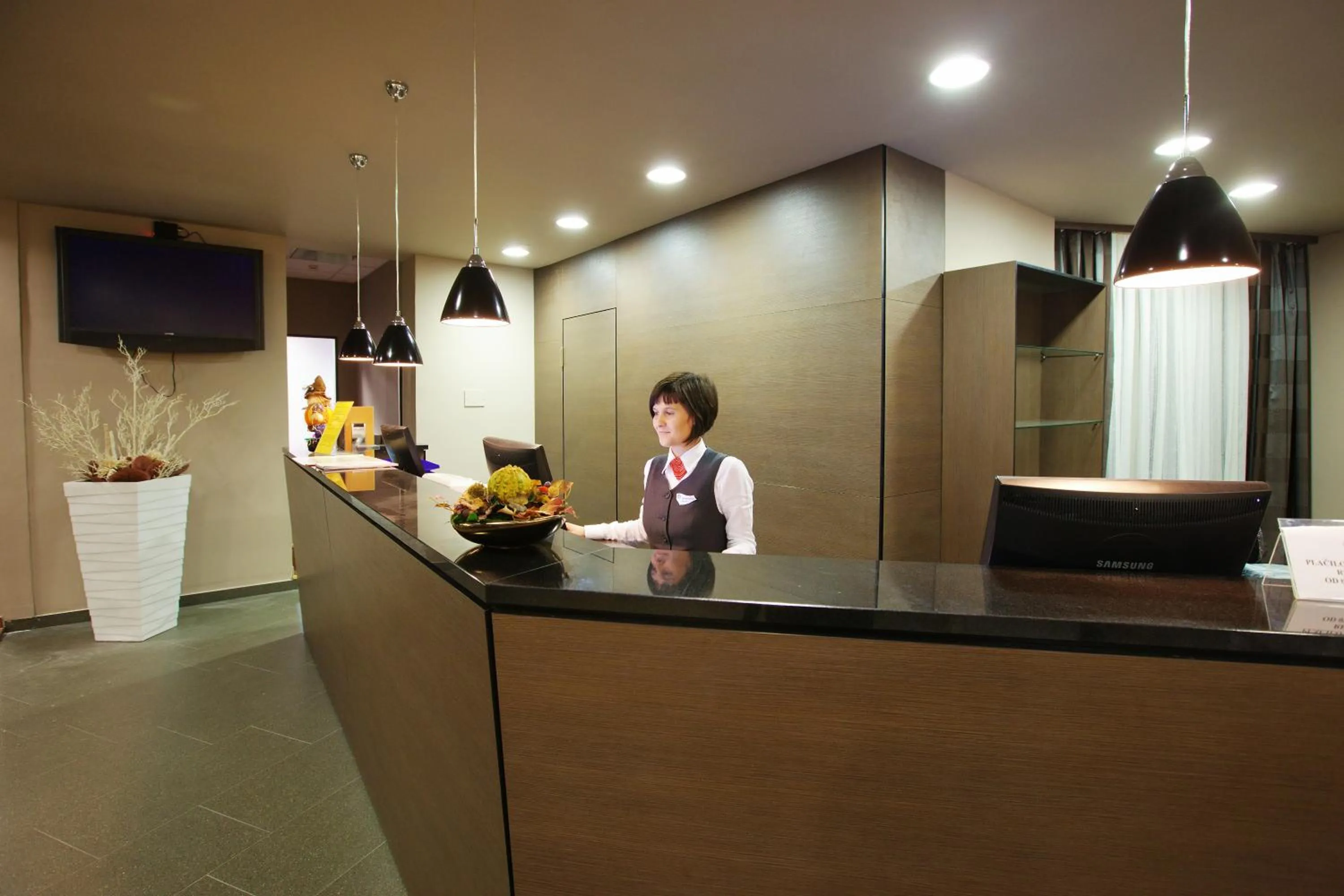 Lobby or reception in Terme Olimia - Hotel Breza