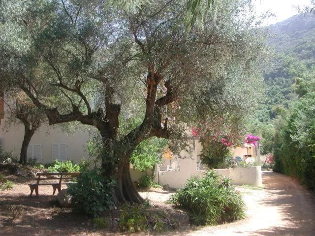 Garden in Residence Helios