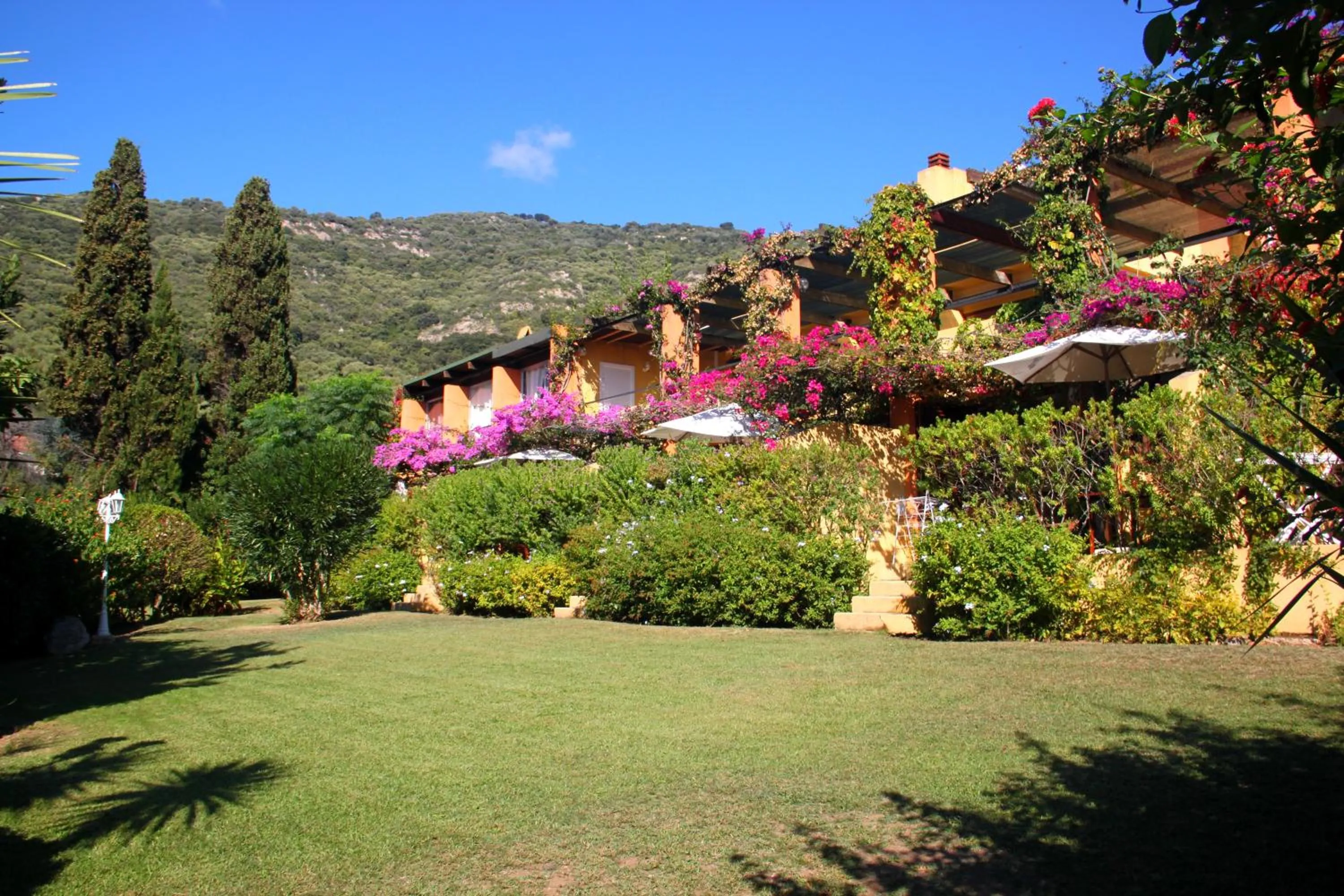 Natural landscape in Residence Helios