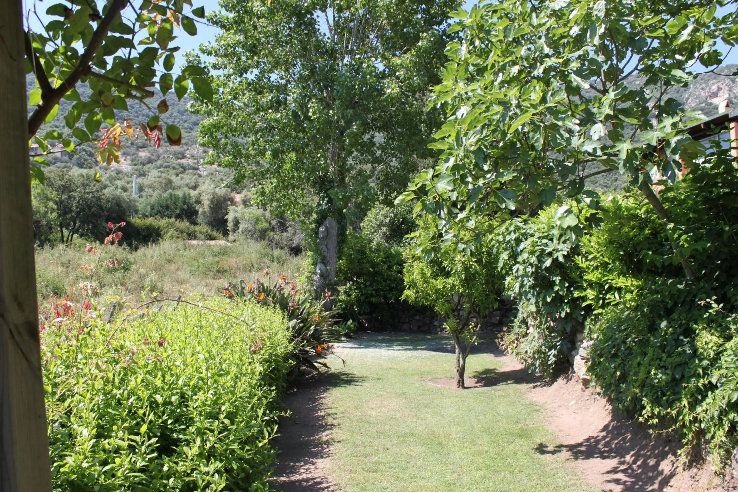 Garden in Residence Helios