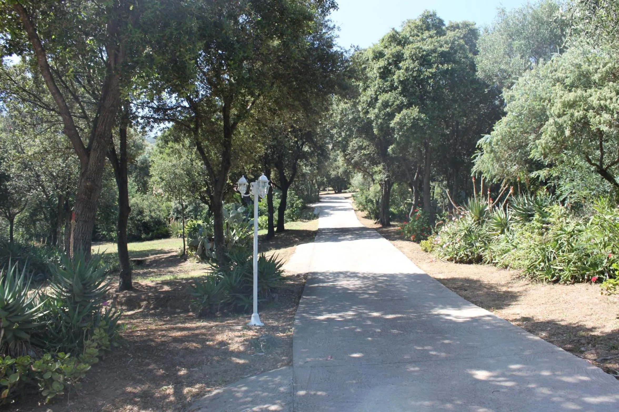 Garden in Residence Helios