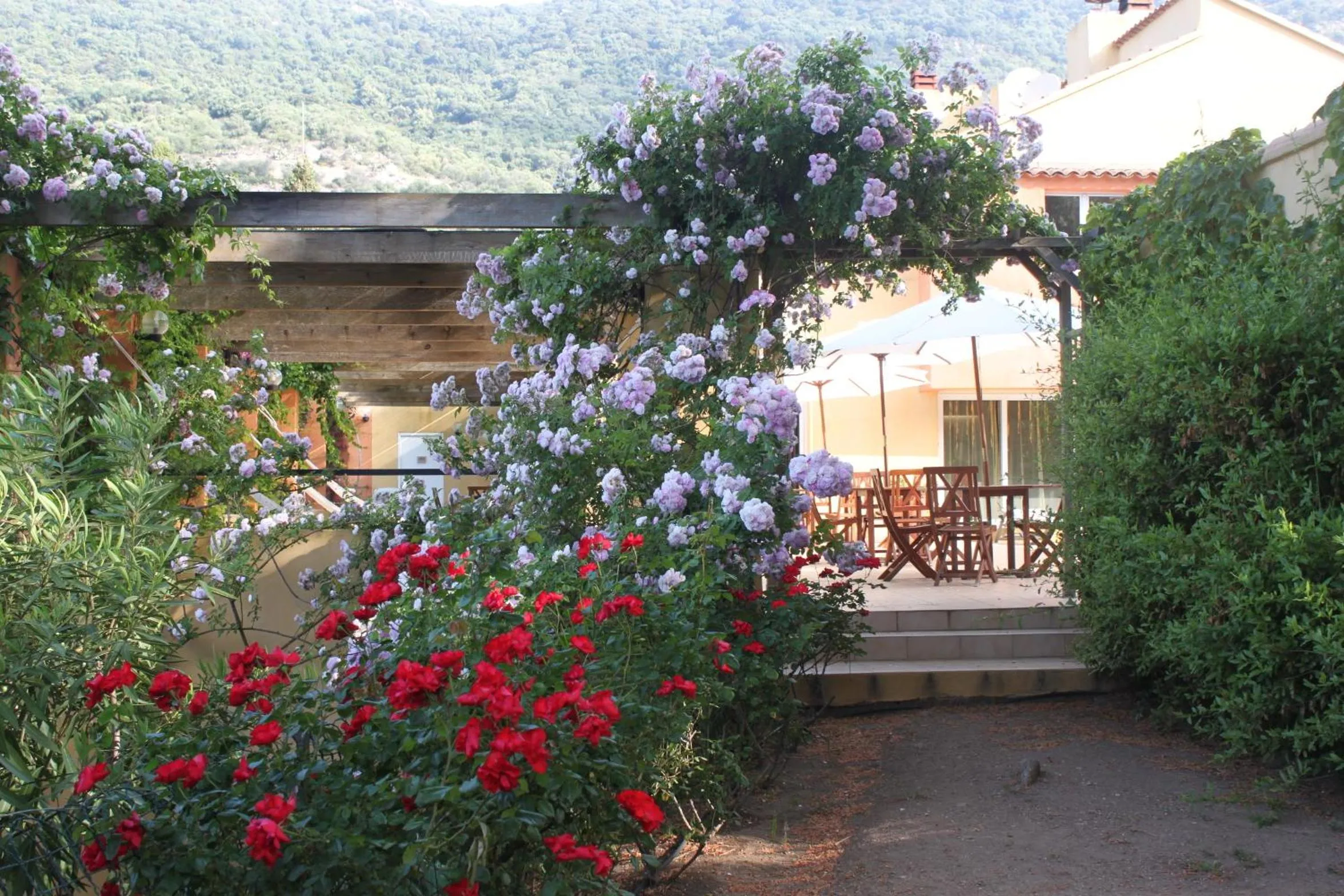 Property building in Residence Helios