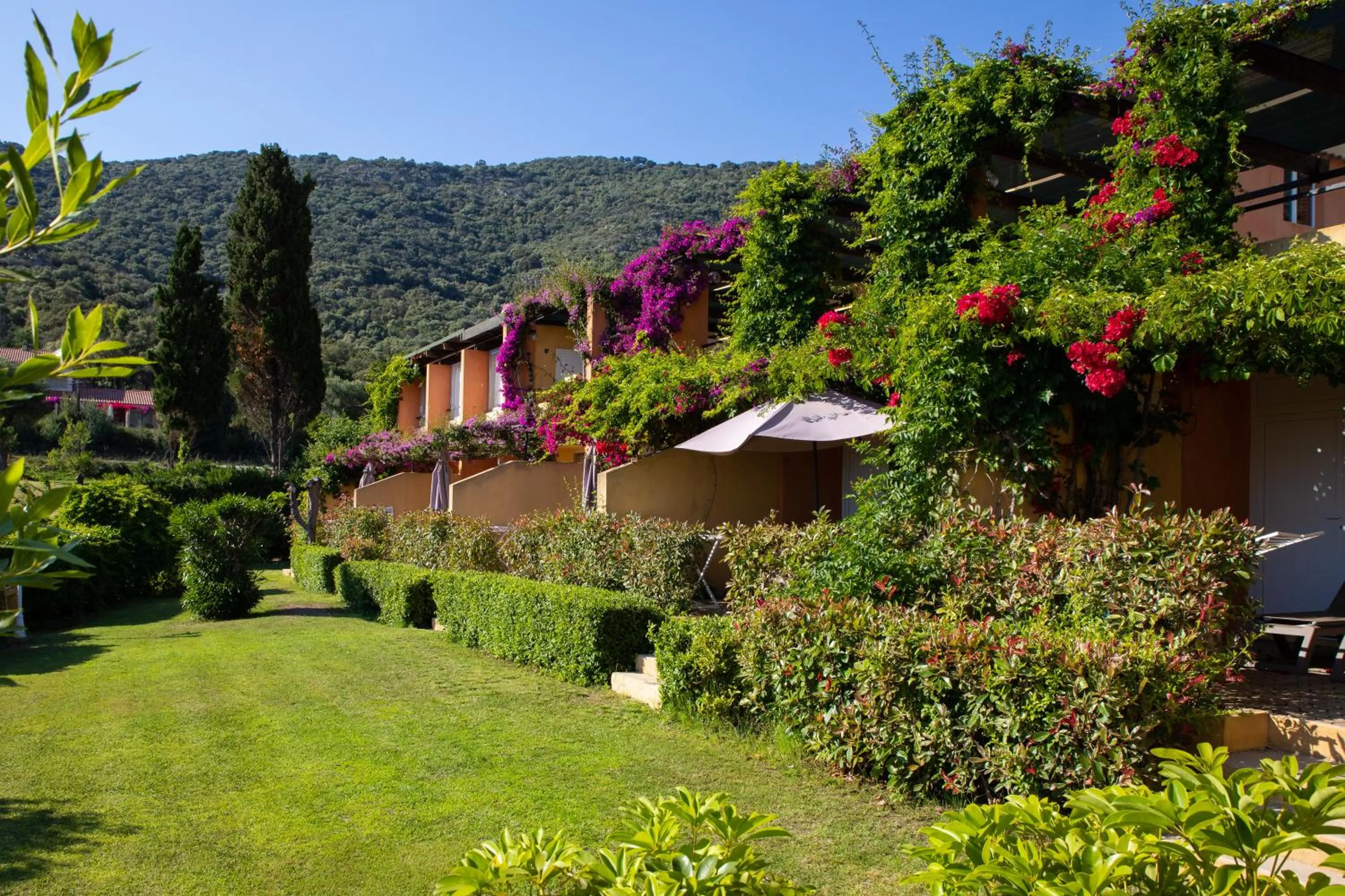 Property building in Residence Helios