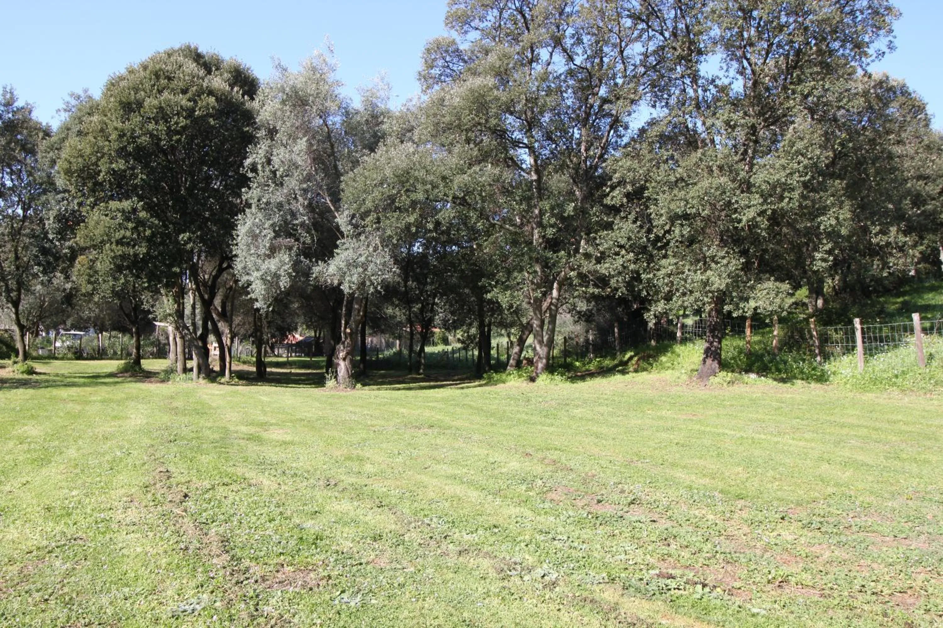 Natural landscape in Residence Helios