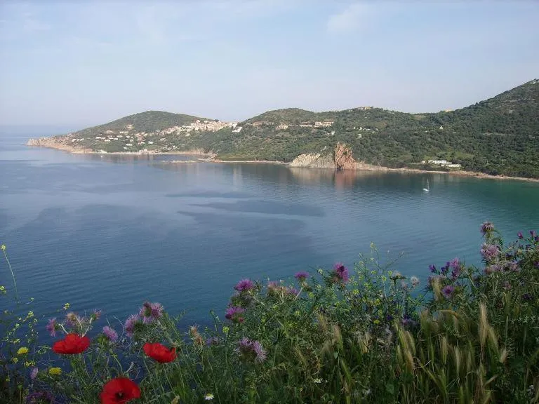 Natural landscape in Residence Helios