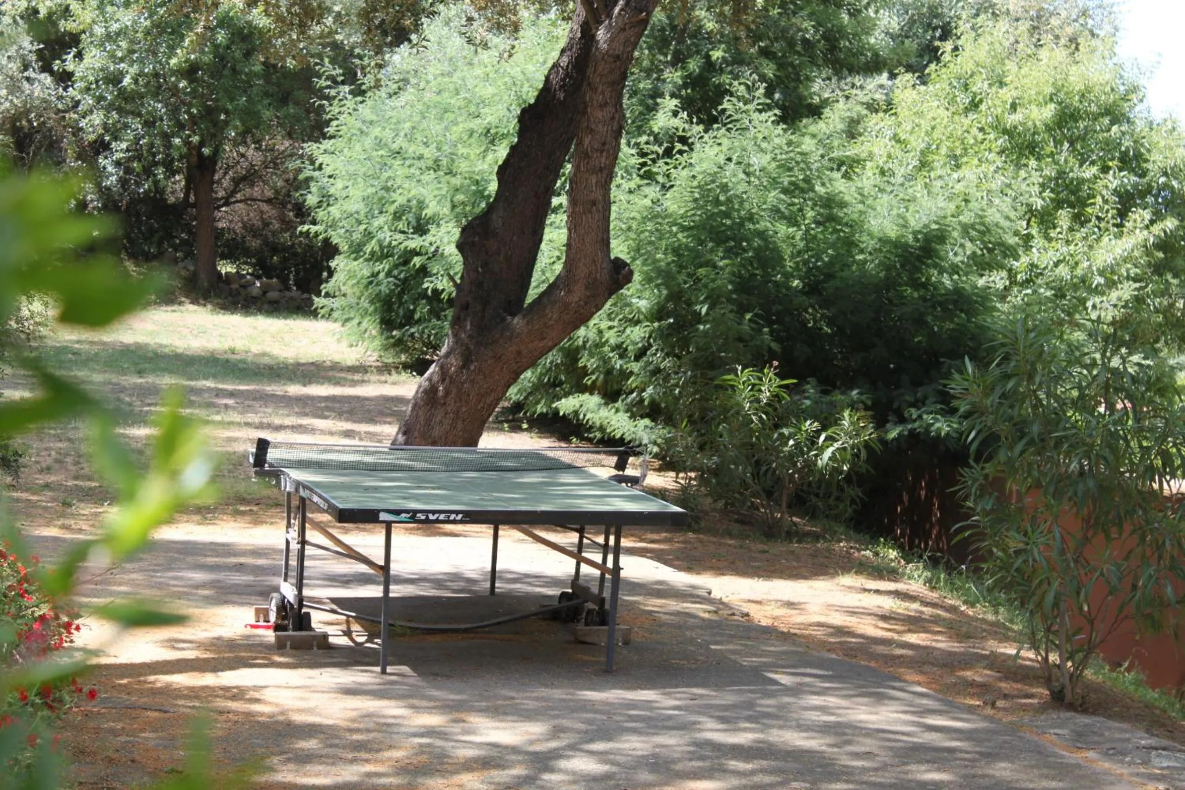 Table tennis in Residence Helios