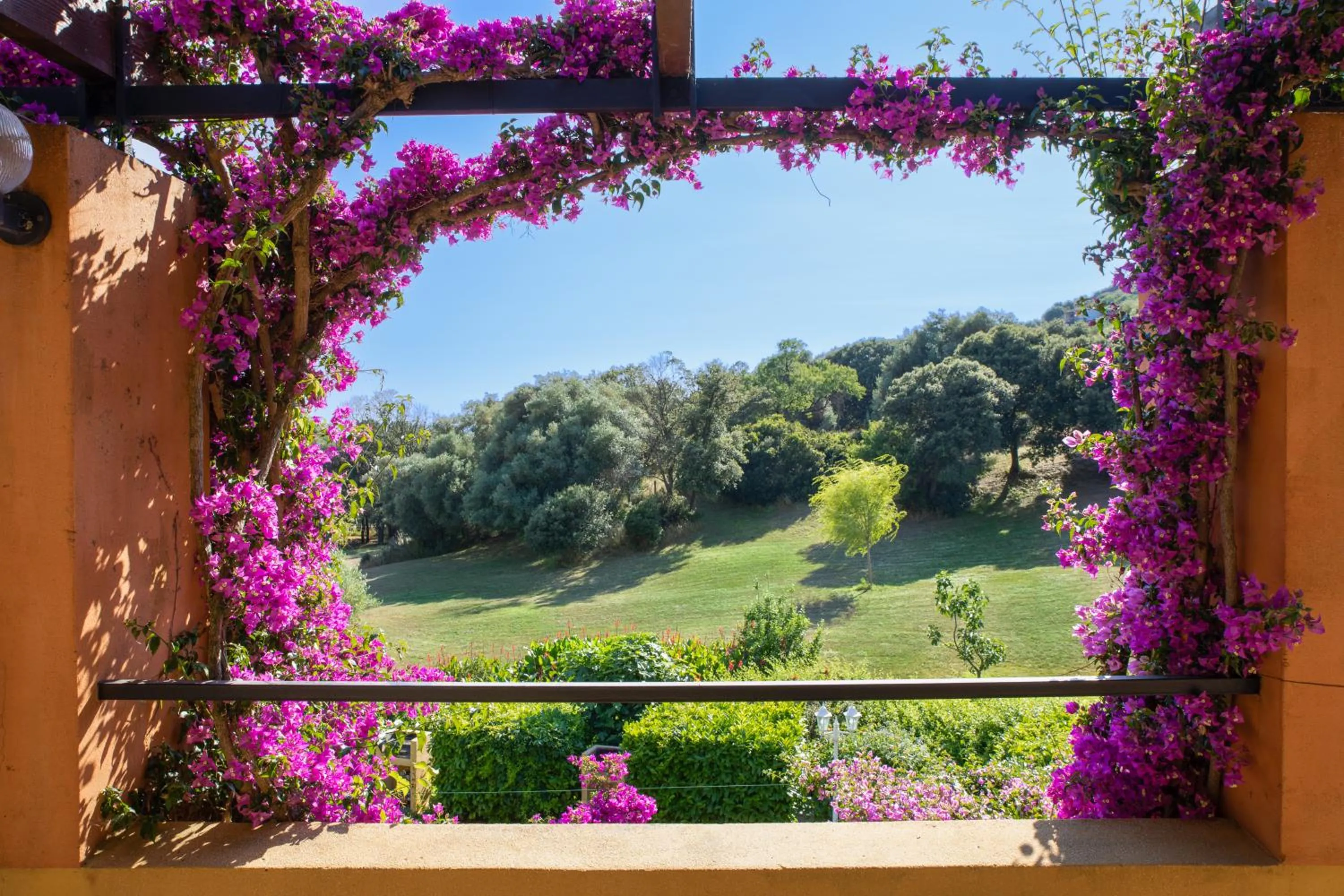 Natural landscape in Residence Helios