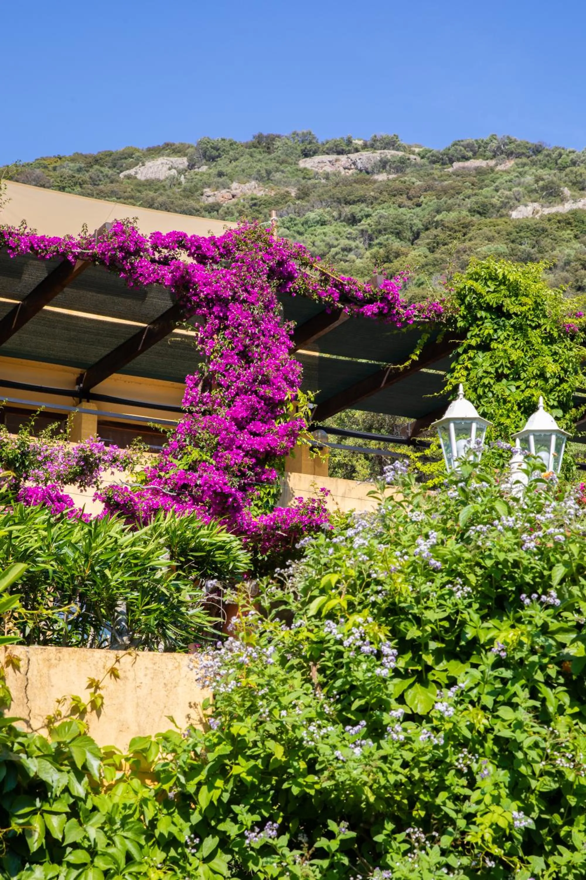 Property building in Residence Helios