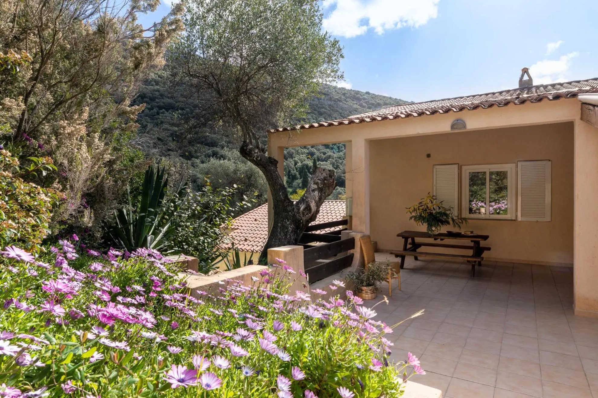 Patio in Residence Helios
