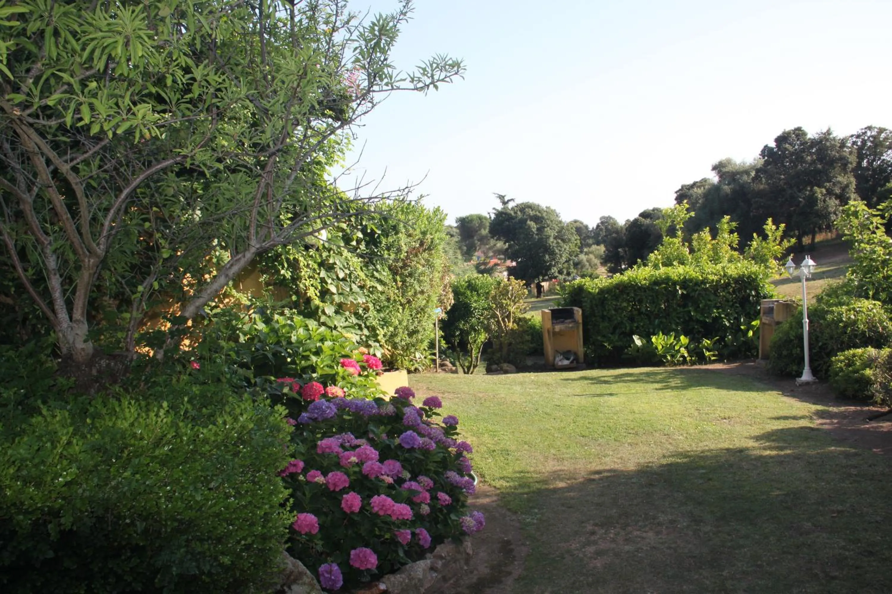 Garden in Residence Helios