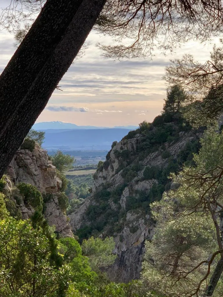 Natural landscape in LA COUR CARREE - chambres d'hôtes