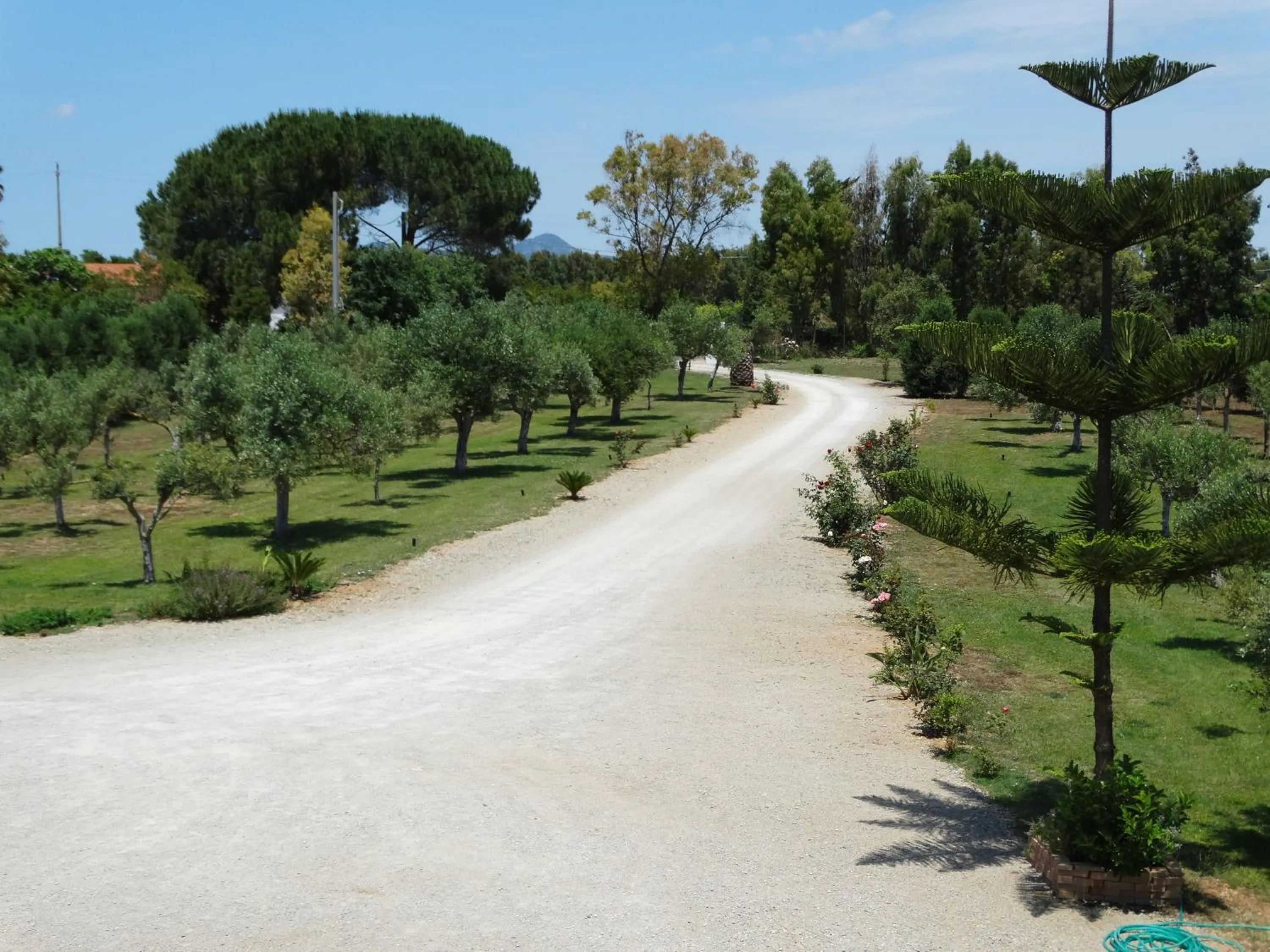 Garden in Il Pagio