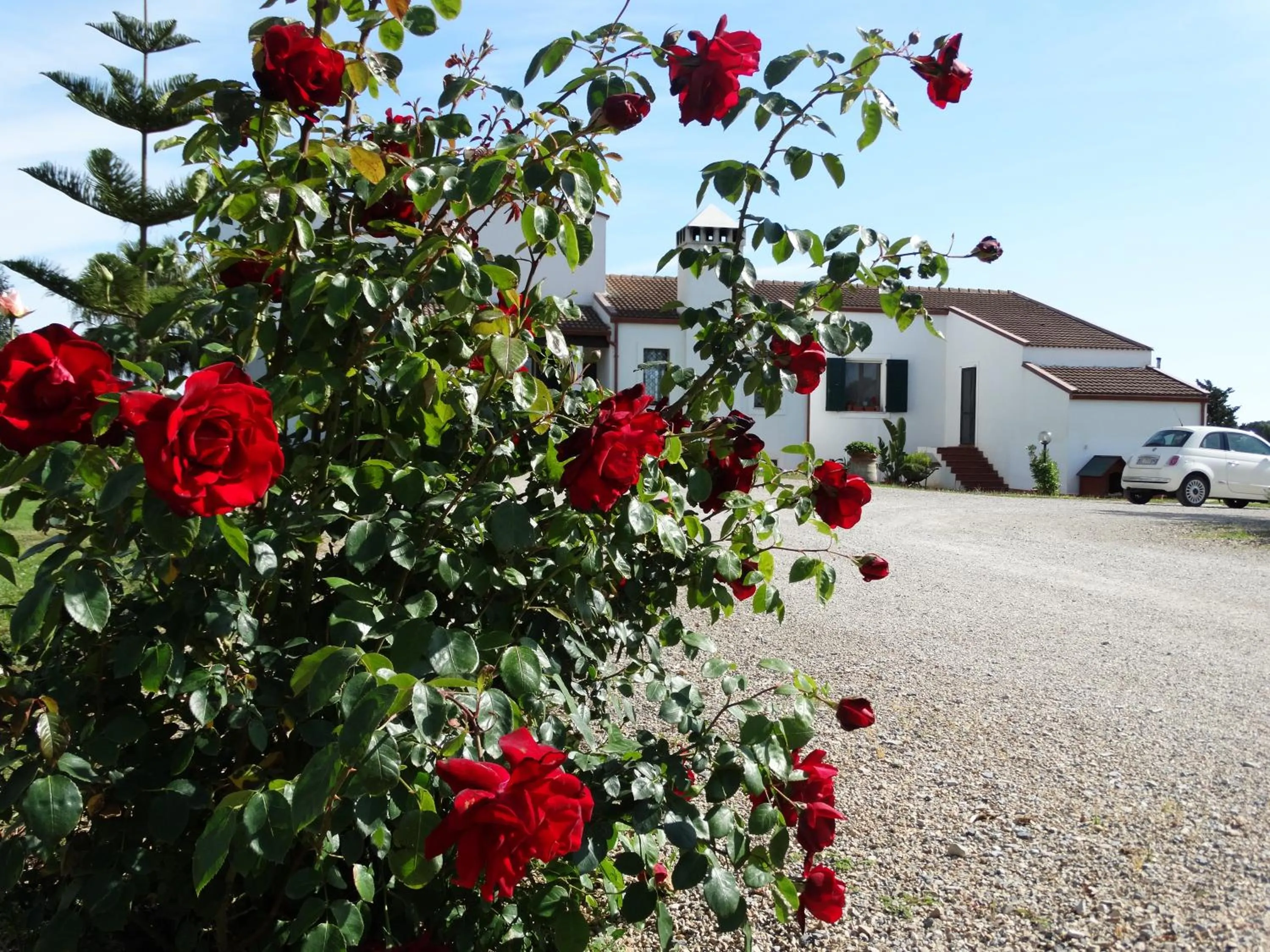 Facade/entrance in Il Pagio