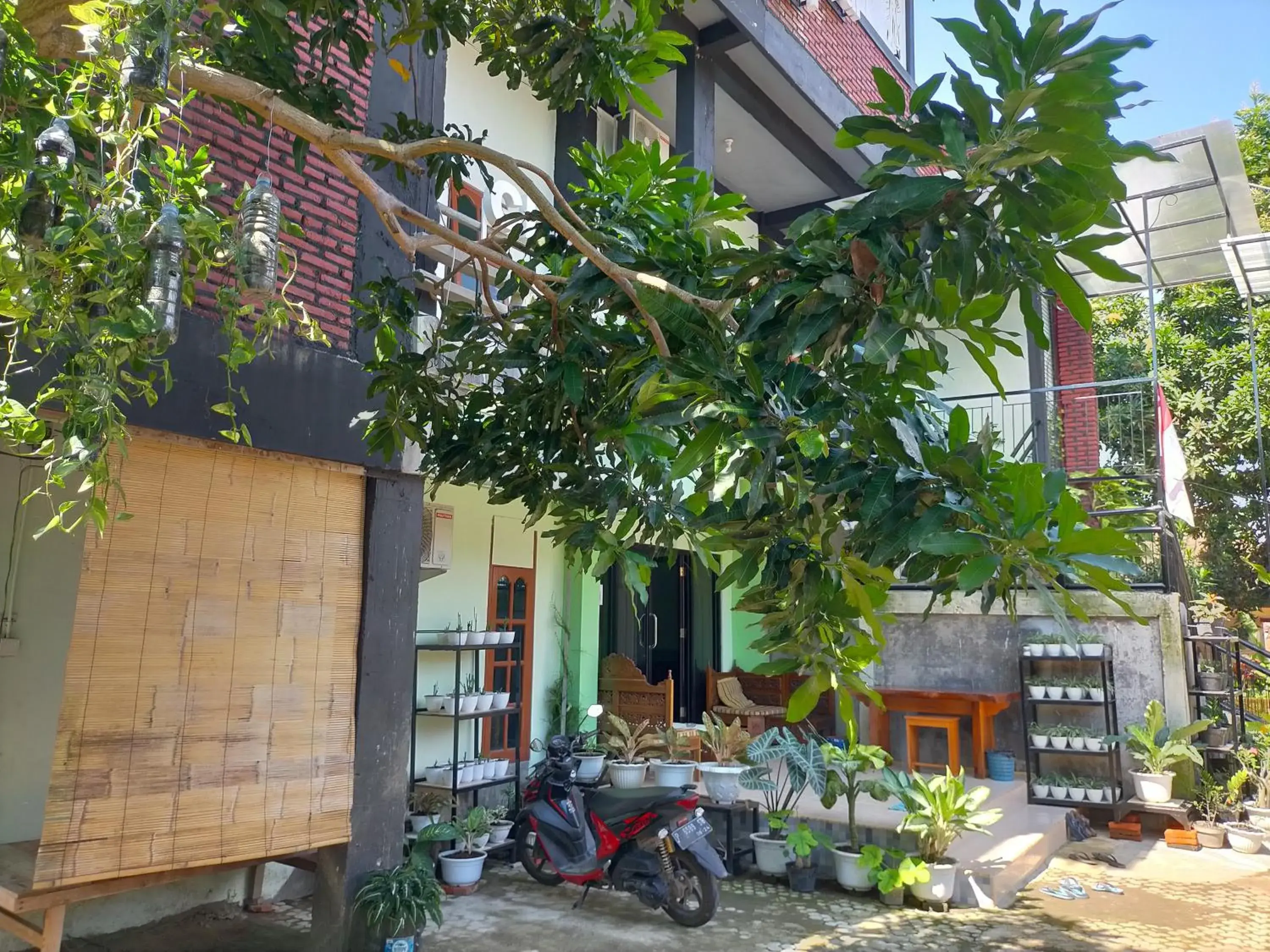 Property building in Cheap Inn Banyuwangi Property building in Cheap Inn Banyuwangi