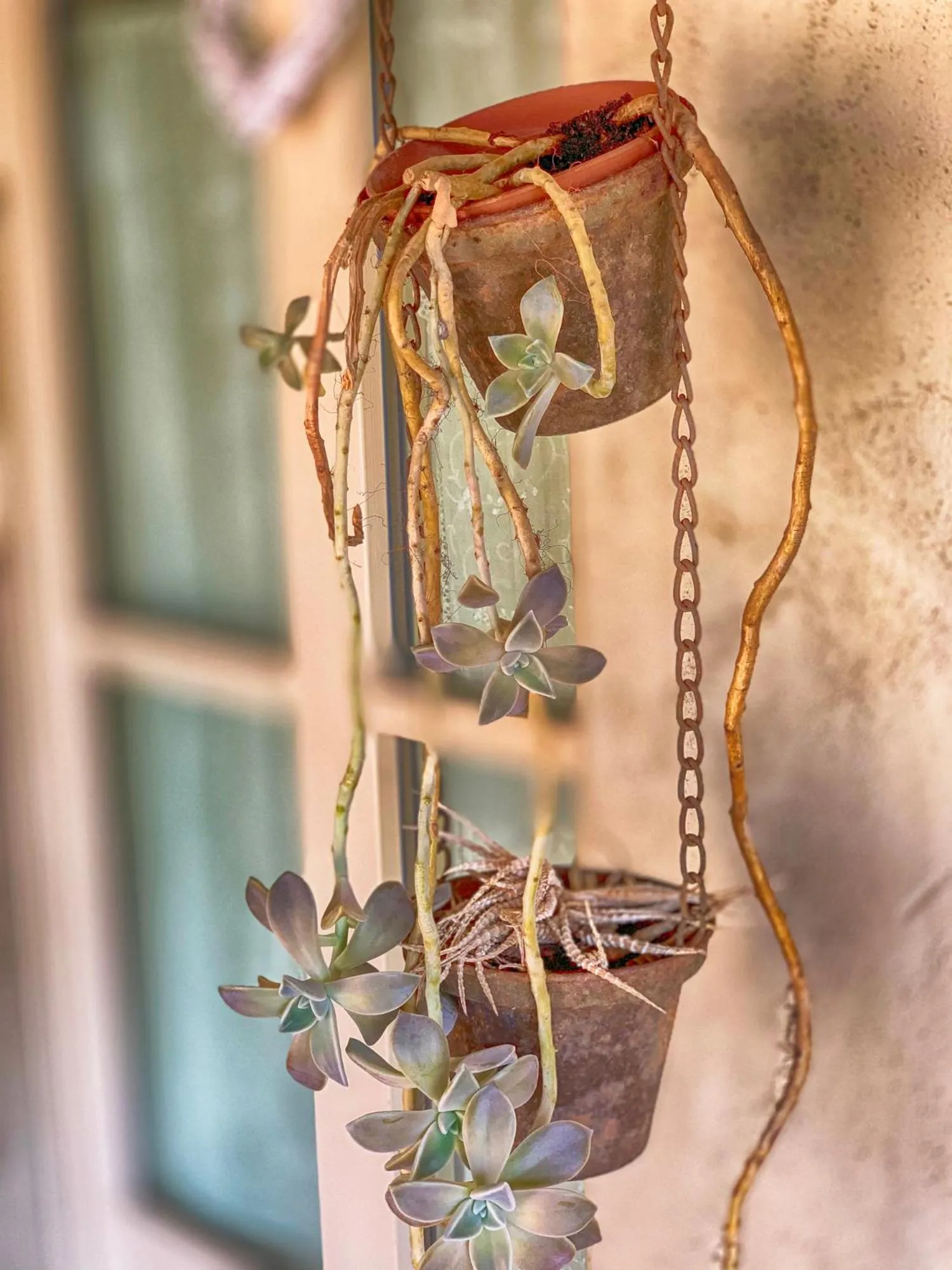 Decorative detail in Casale Cardini