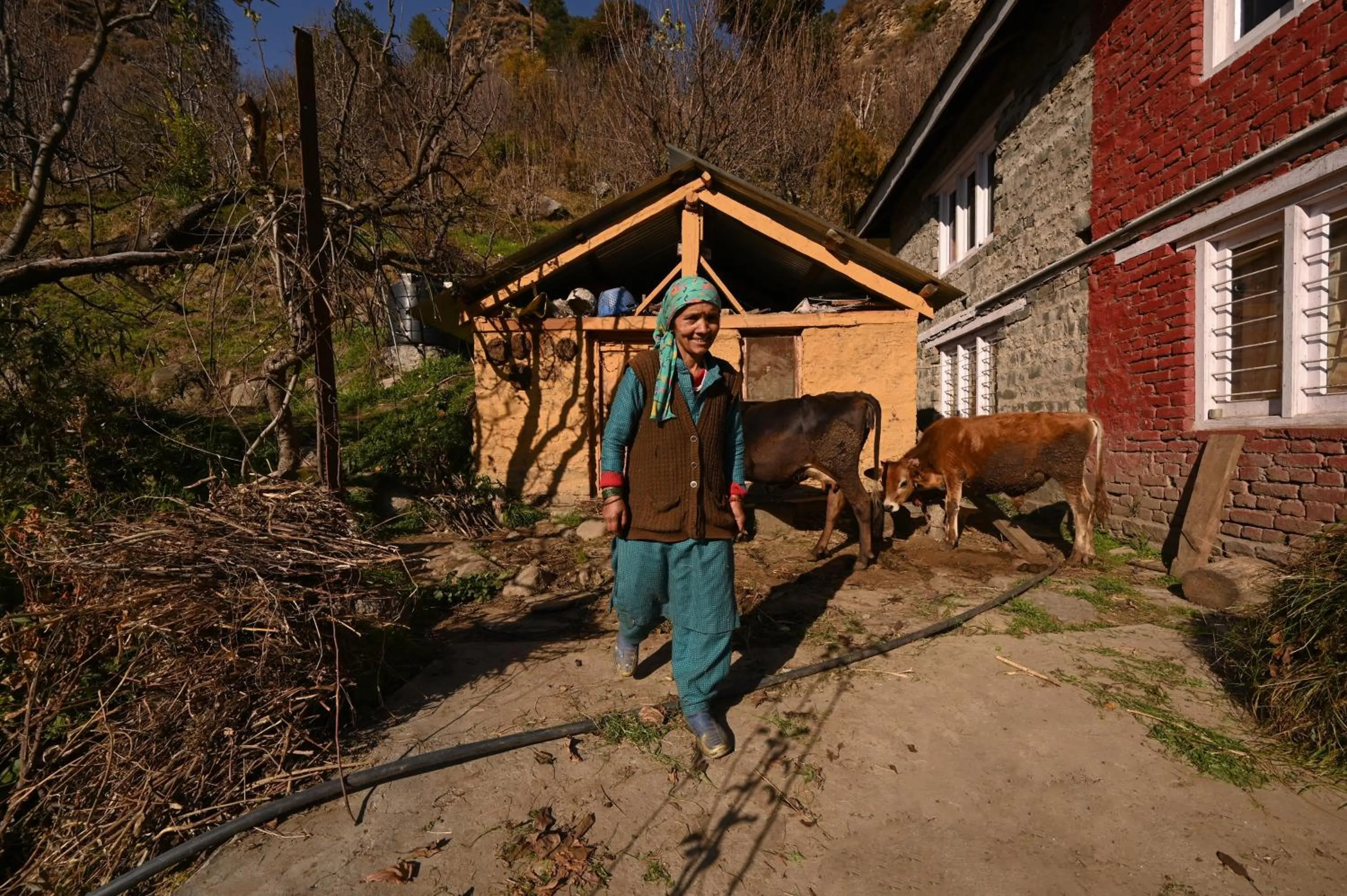 Day in Zostel Dobhi, Manali