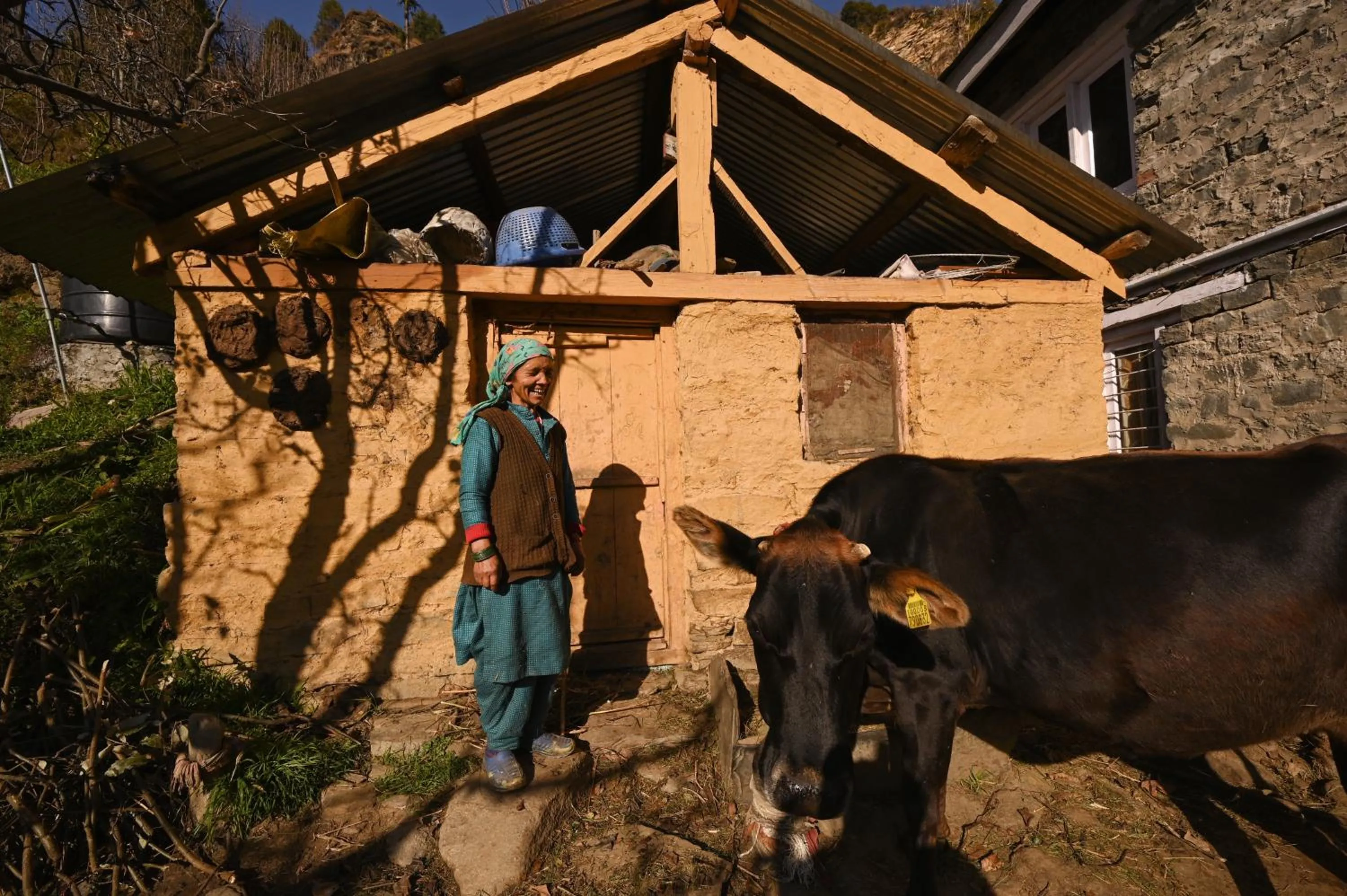 Day in Zostel Dobhi, Manali