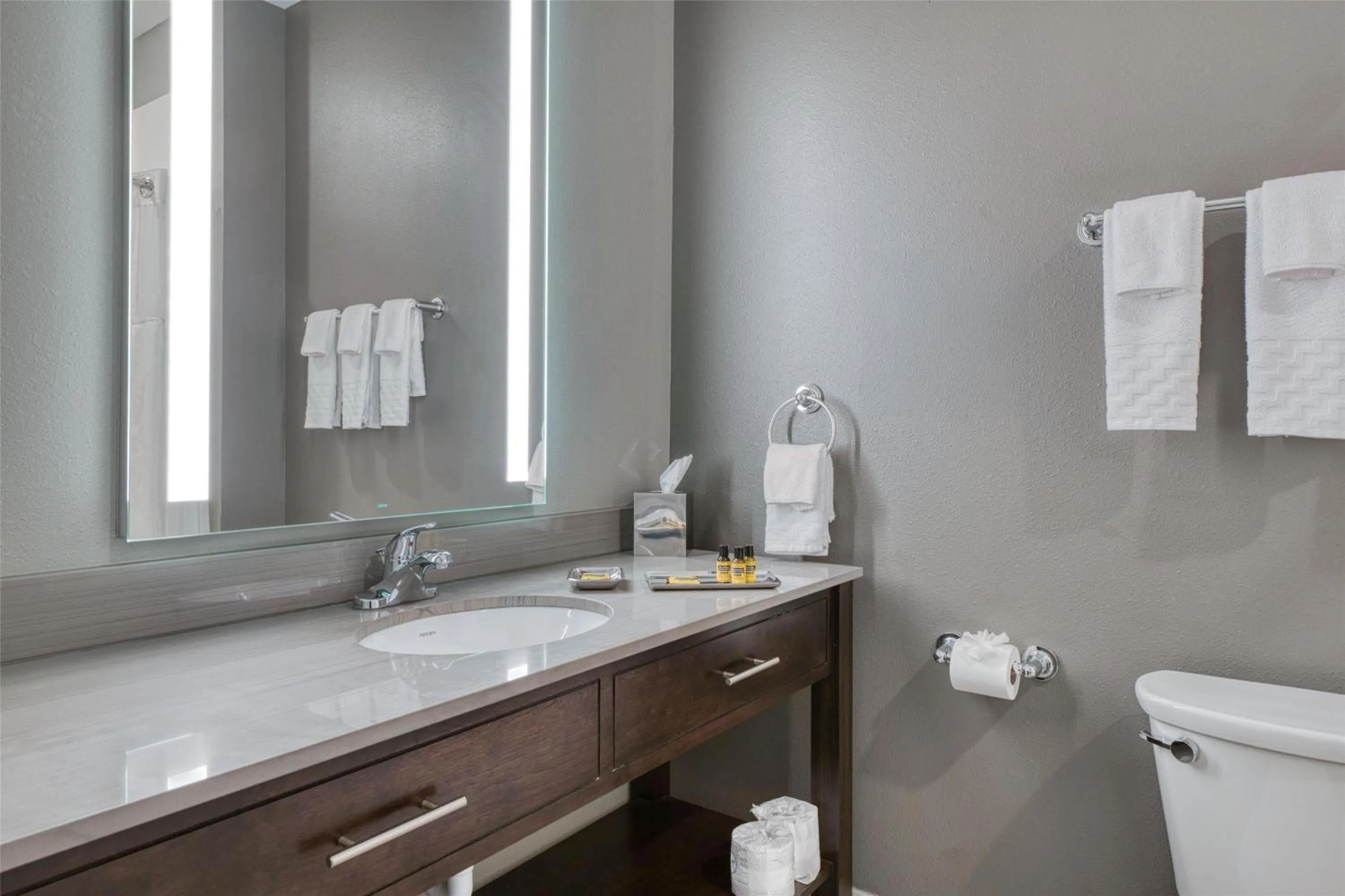 Bathroom in Best Western Plus Saint Peter