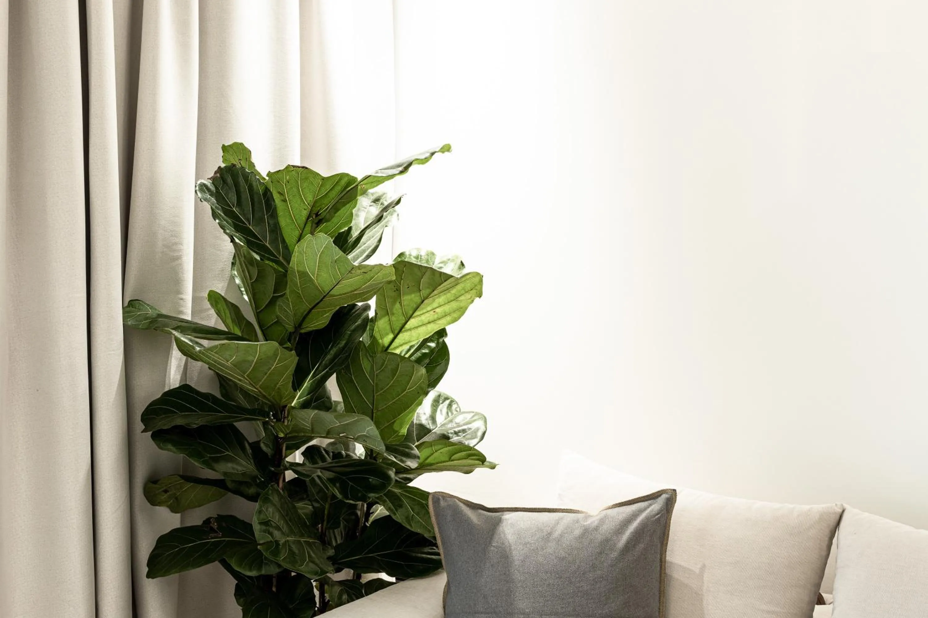 Decorative detail in 31 Doors Hotel