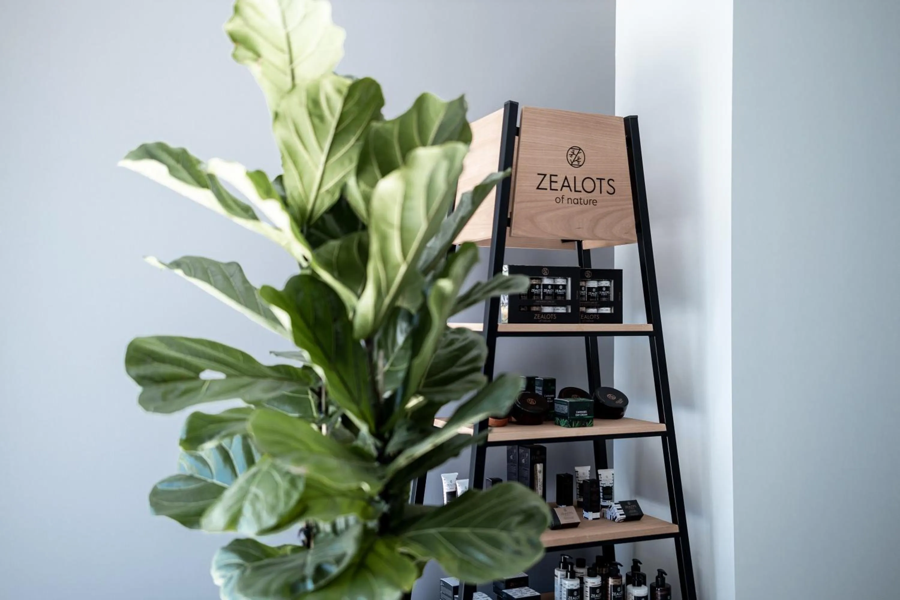 Decorative detail in 31 Doors Hotel