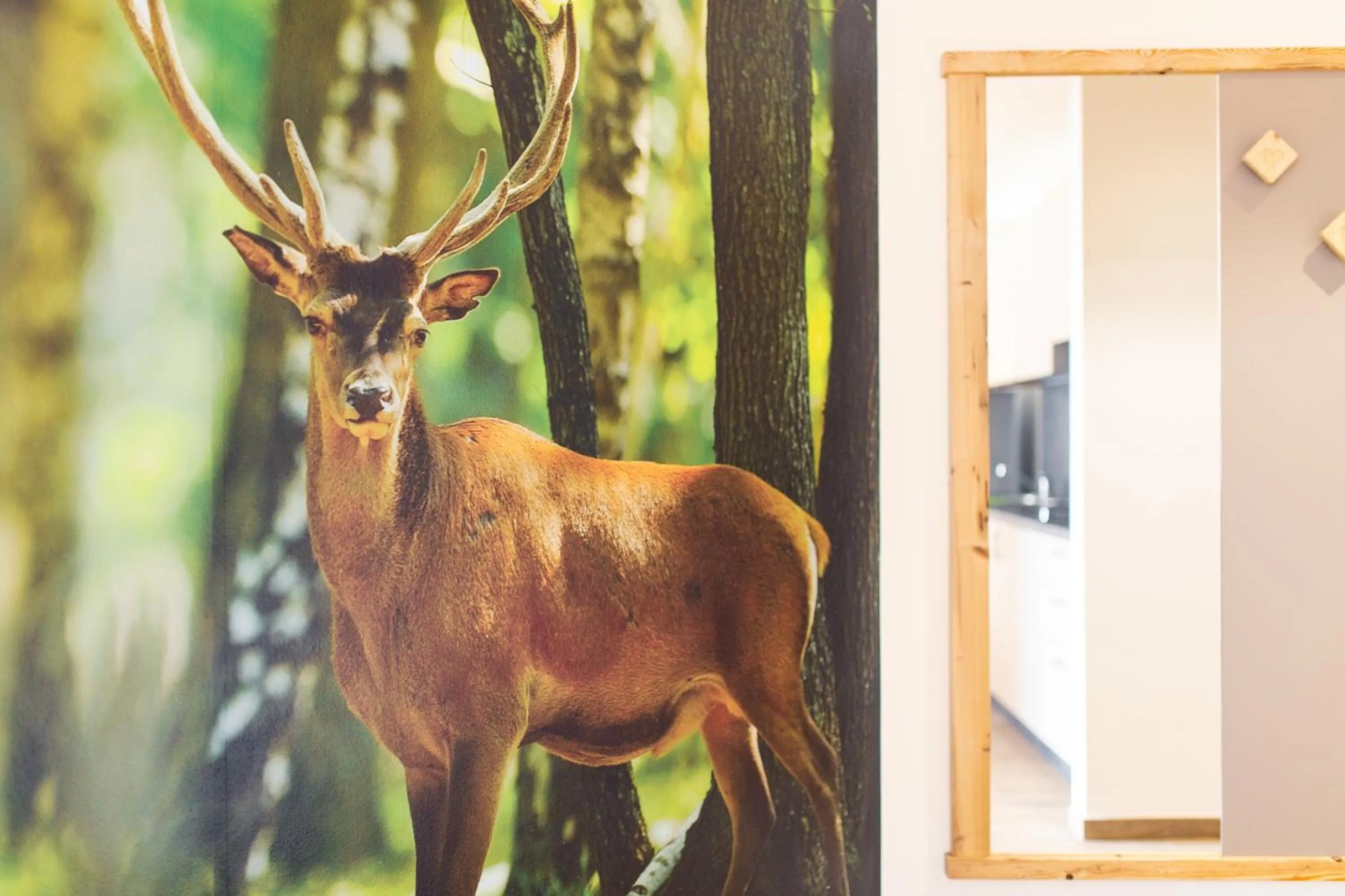 Residence Mille Montagne