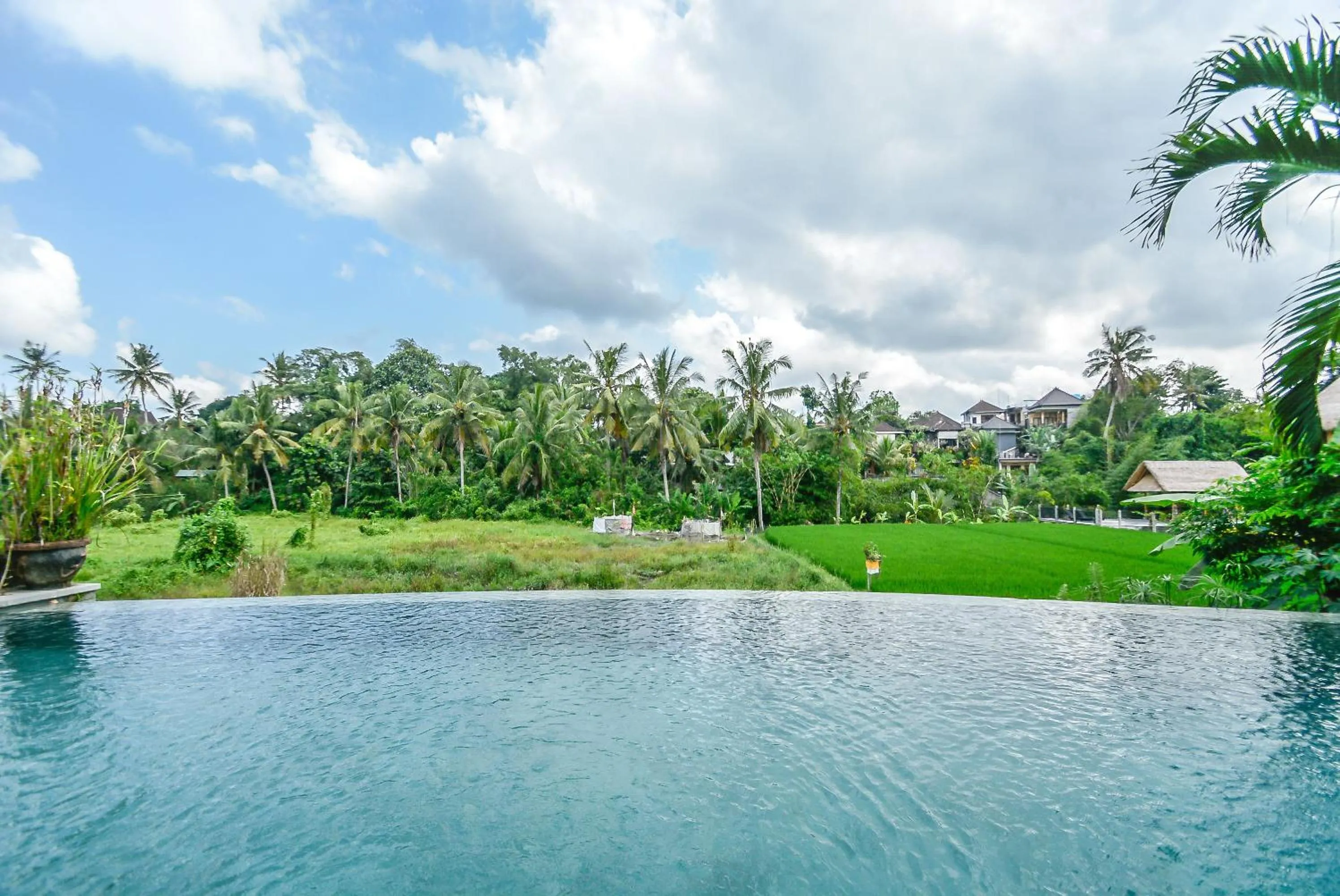 Pool view in Le Sabot Ubud