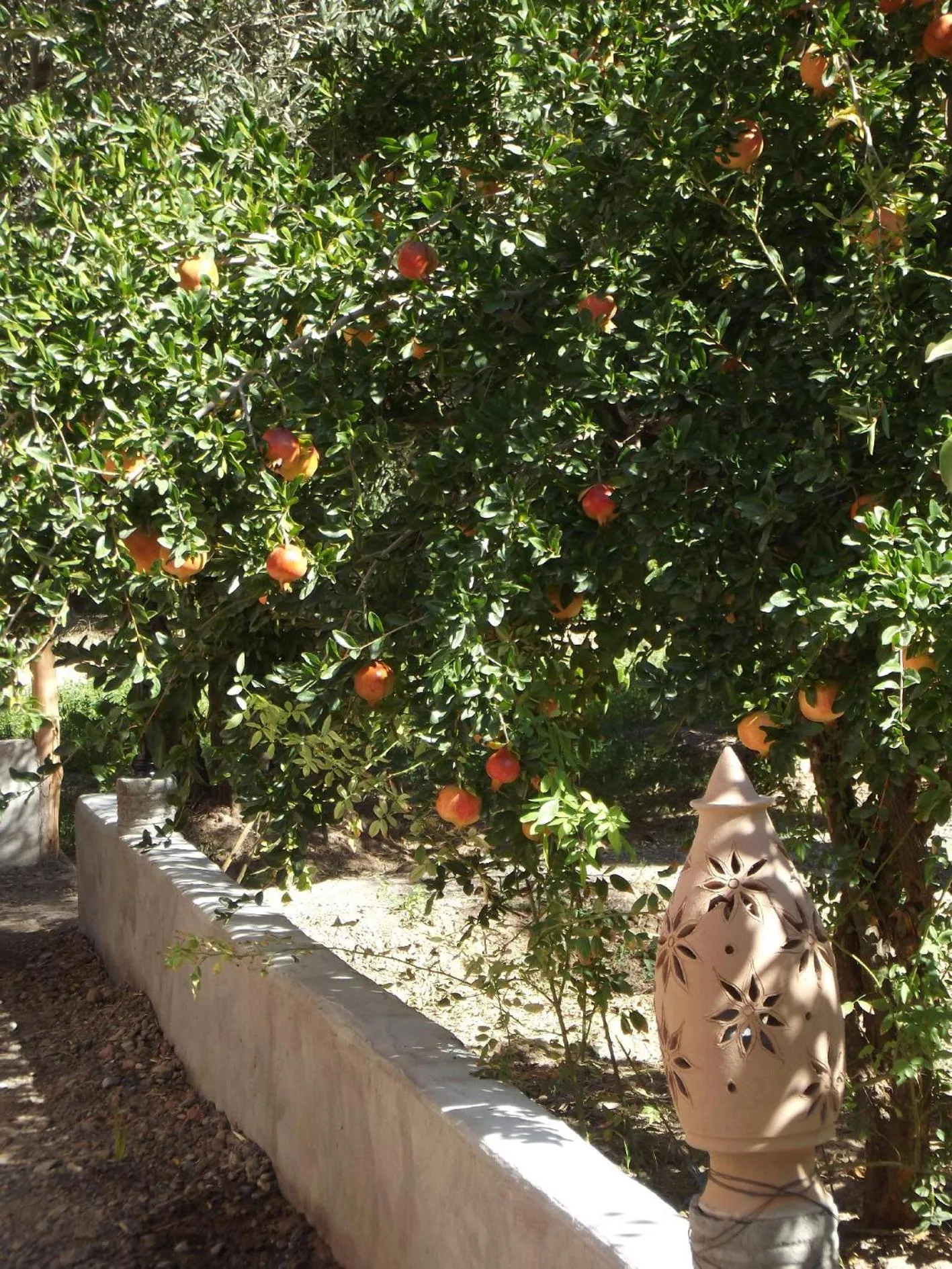 LE JARDIN DES GRENADIERS