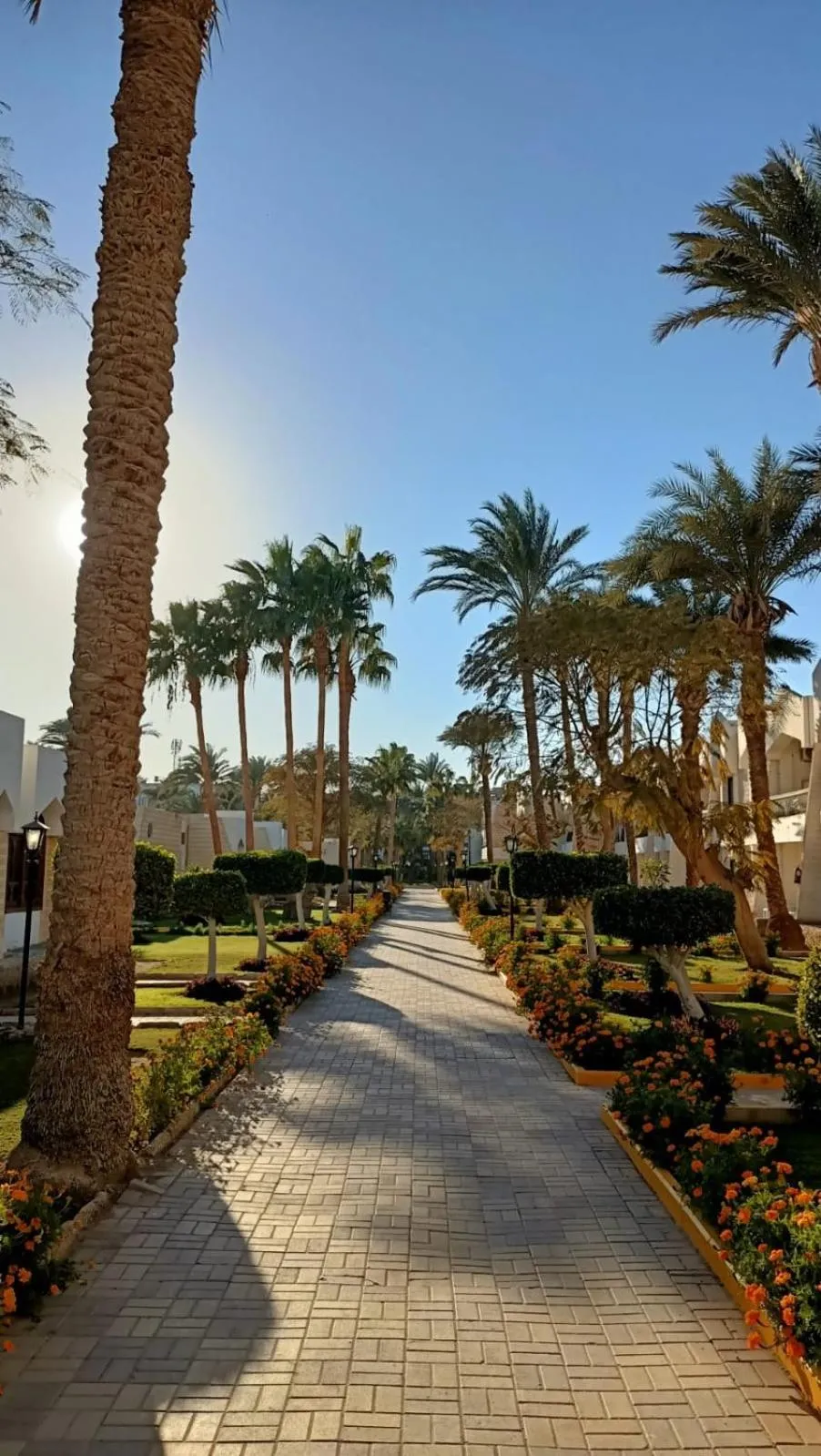 Natural landscape in Regina Resort and Aqua Park Hurghada