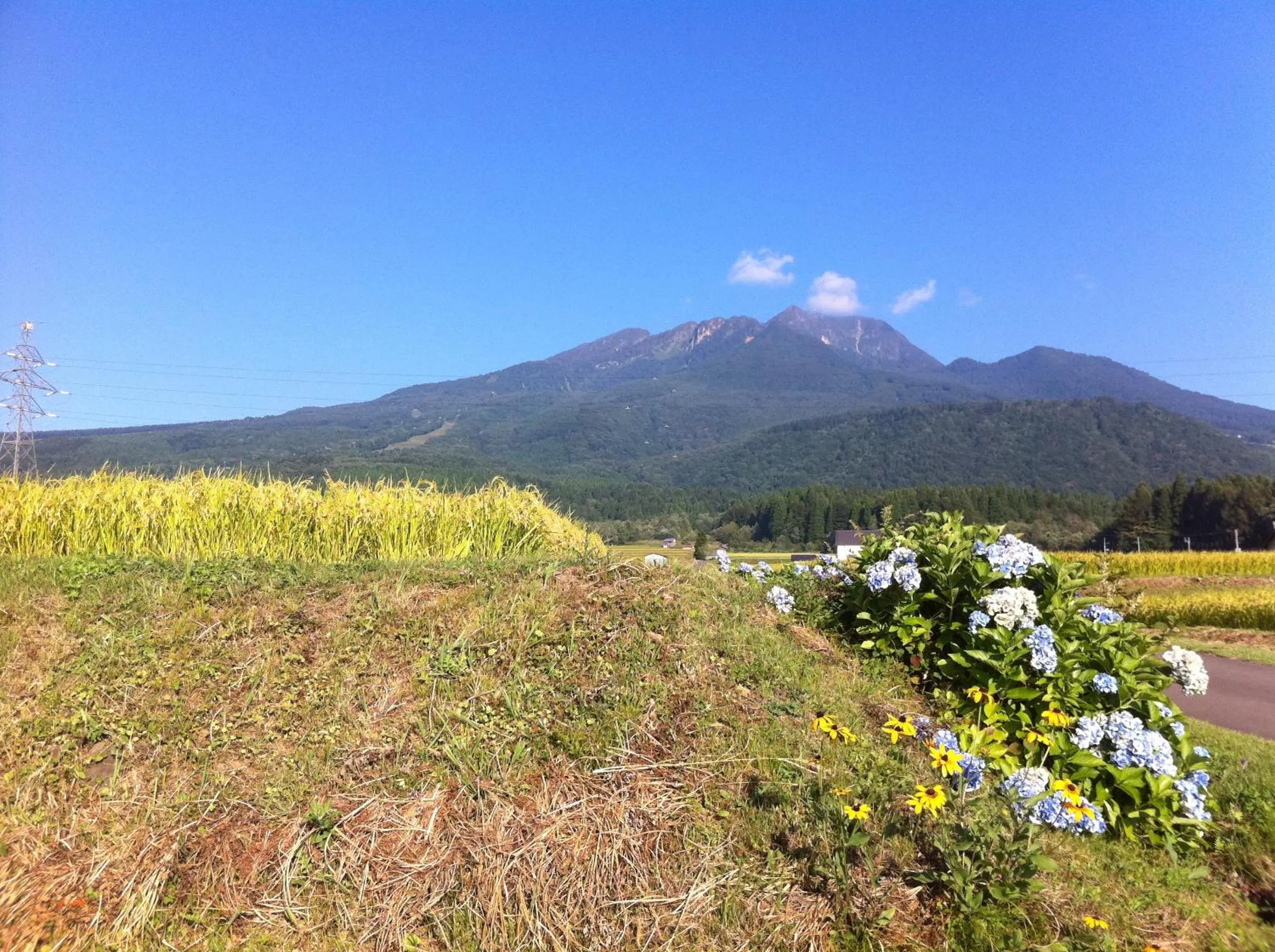 Highland Lodge Takegen