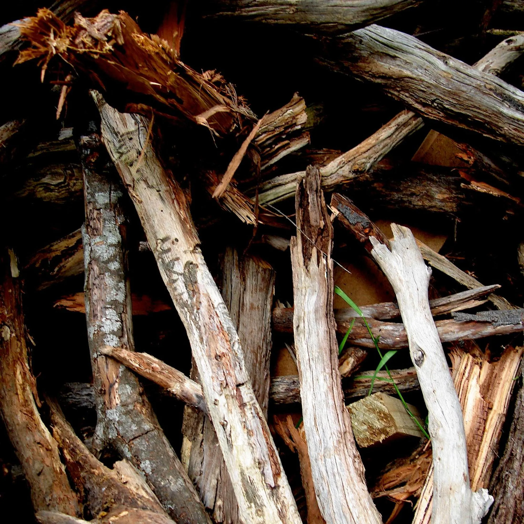 Natural landscape in Forget Me Not Cottages