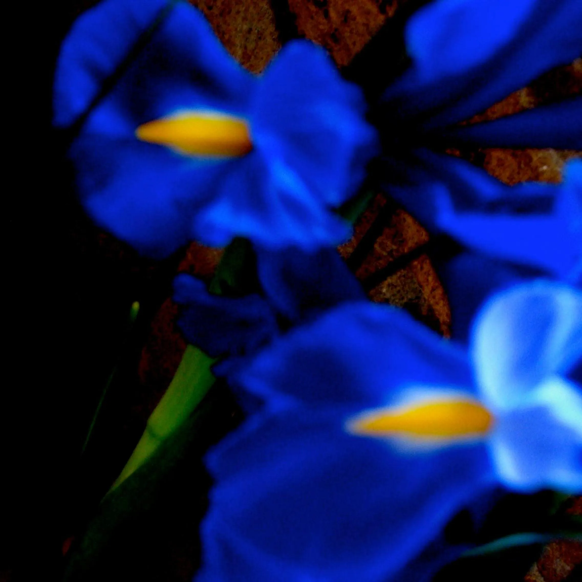 Natural landscape in Forget Me Not Cottages