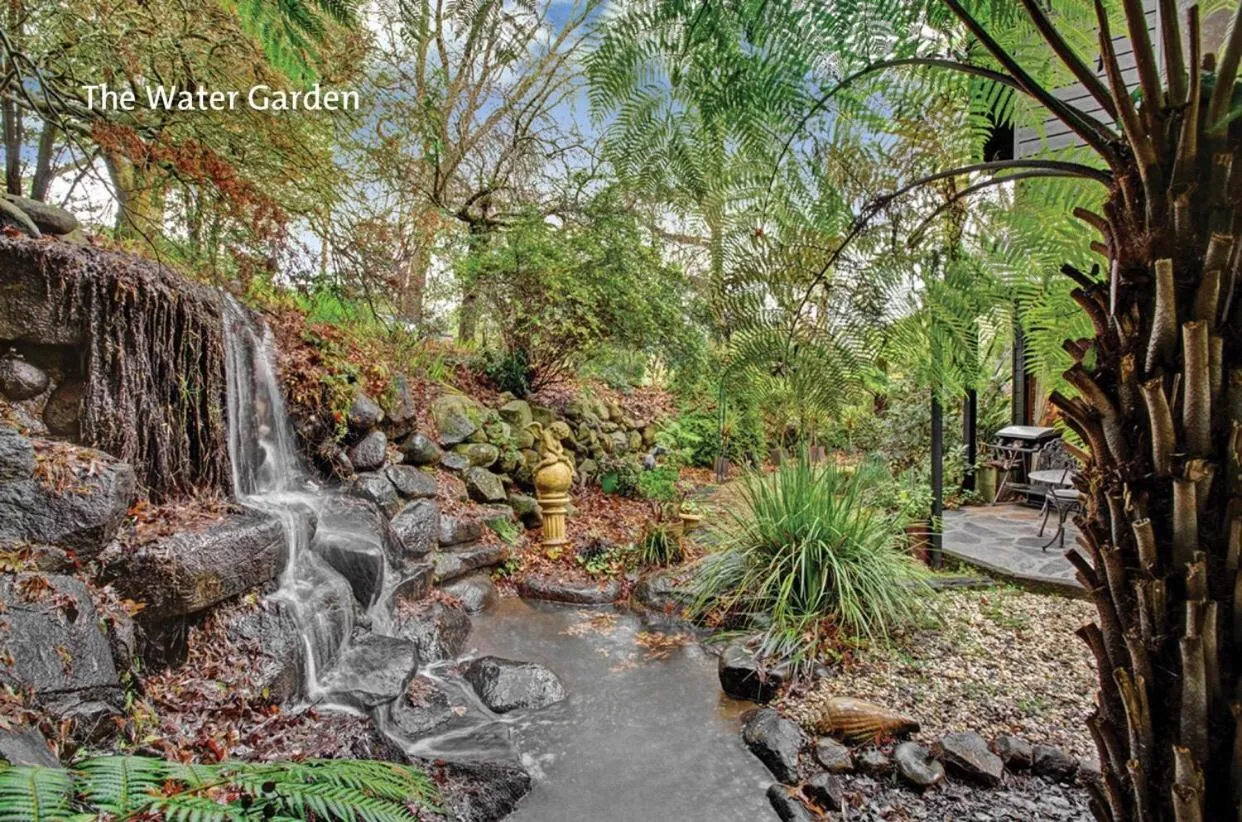 Garden in Forget Me Not Cottages