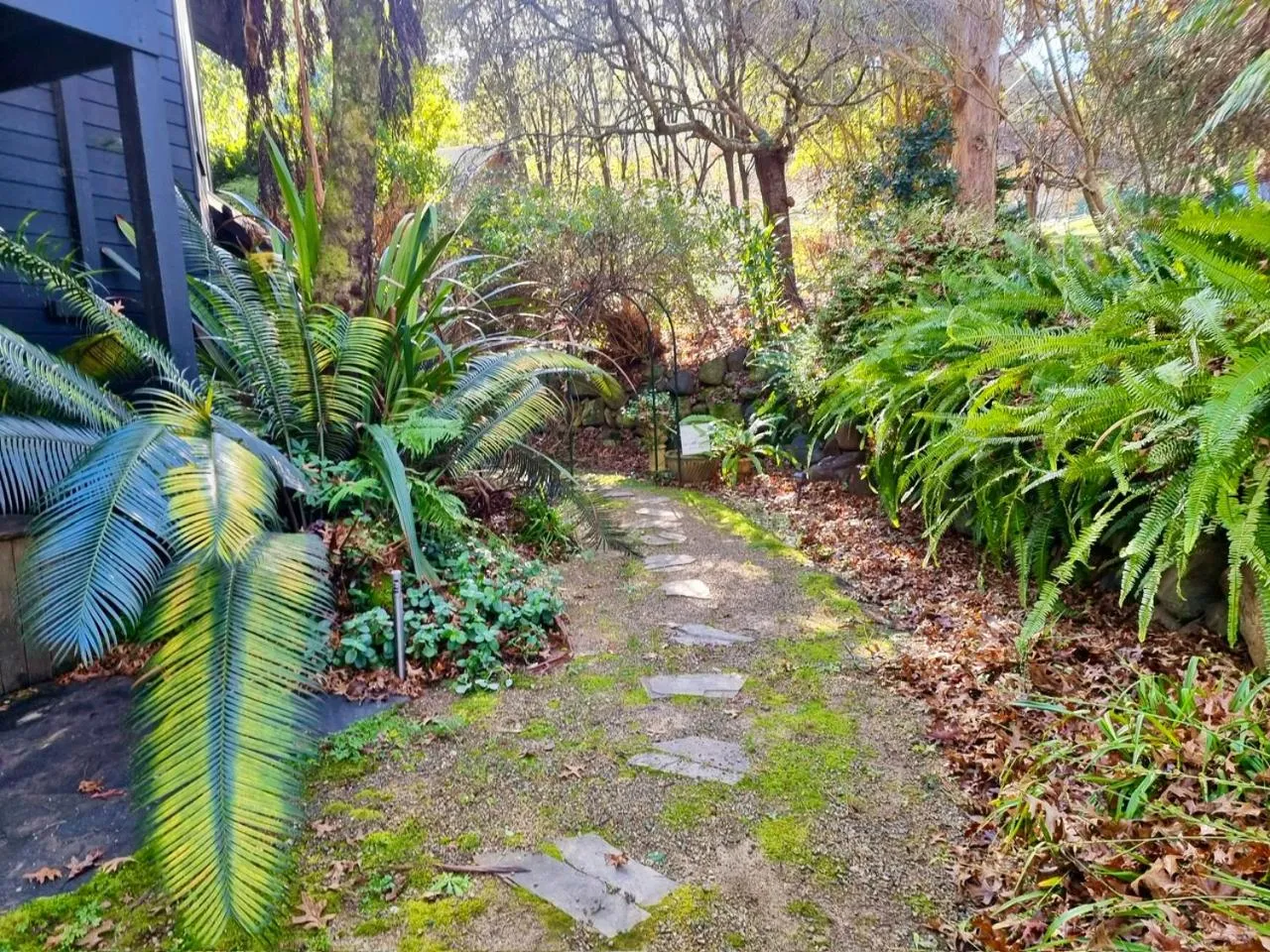 Forget Me Not Cottages