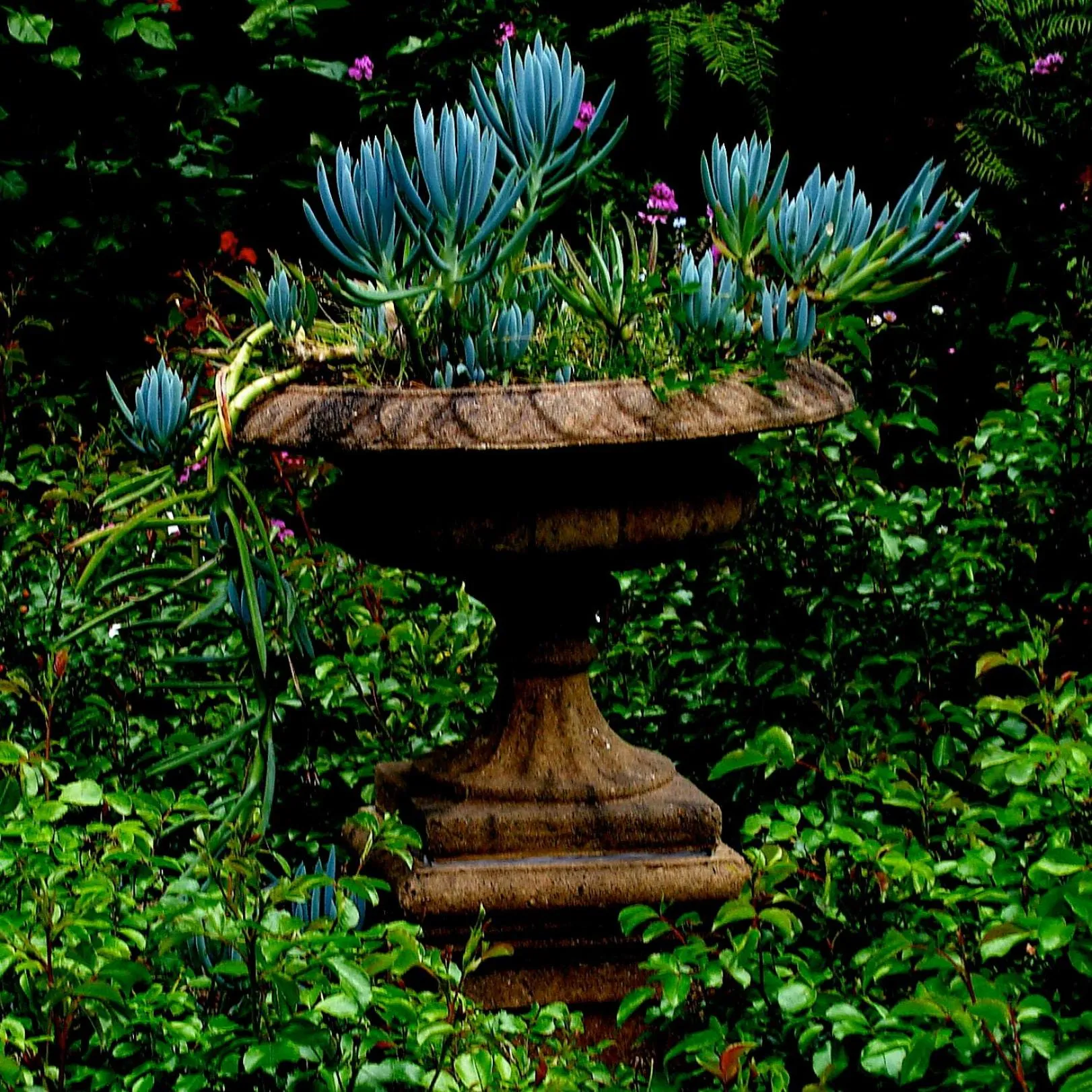 Natural landscape in Forget Me Not Cottages