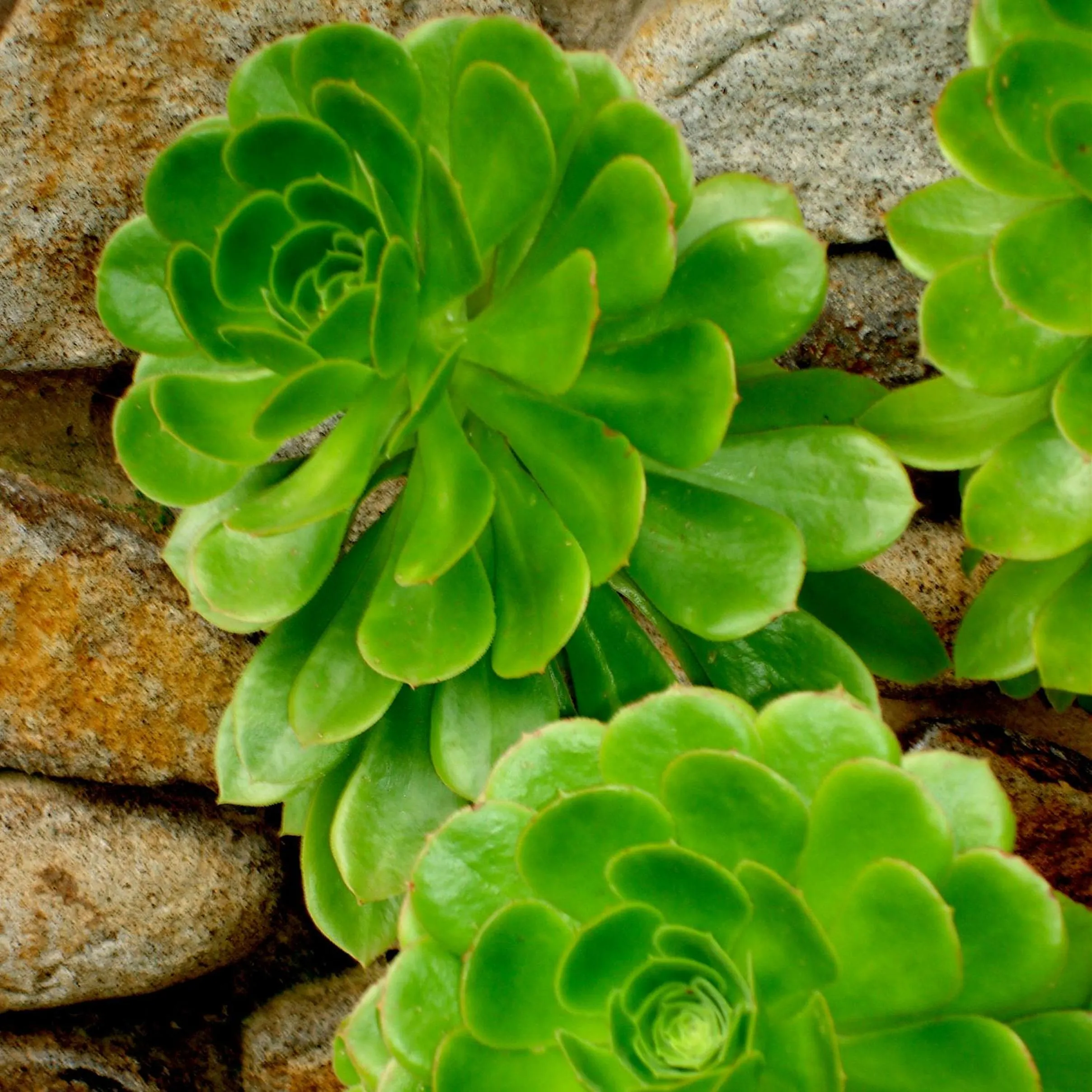Natural landscape in Forget Me Not Cottages