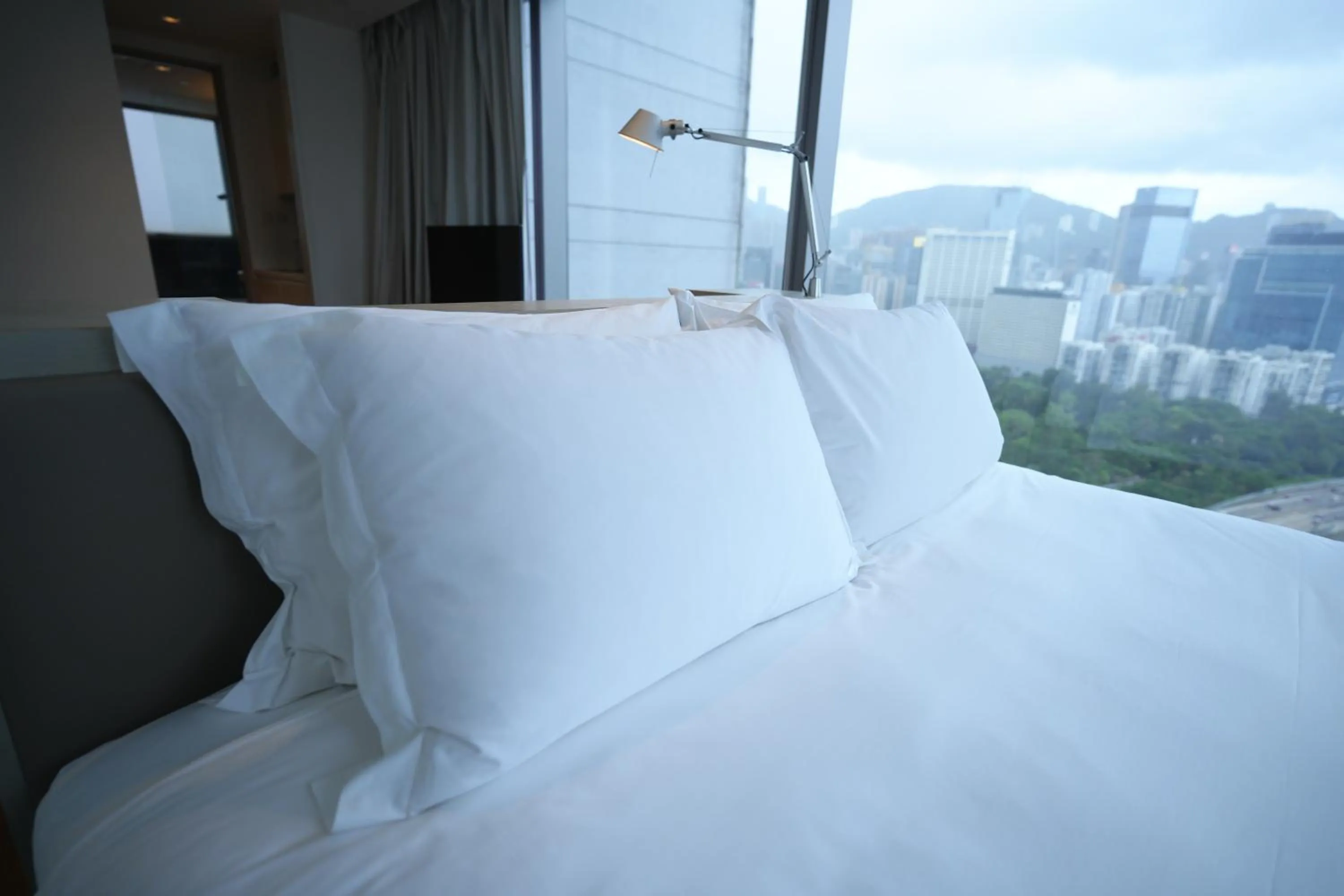 Bed in Twenty One Whitfield