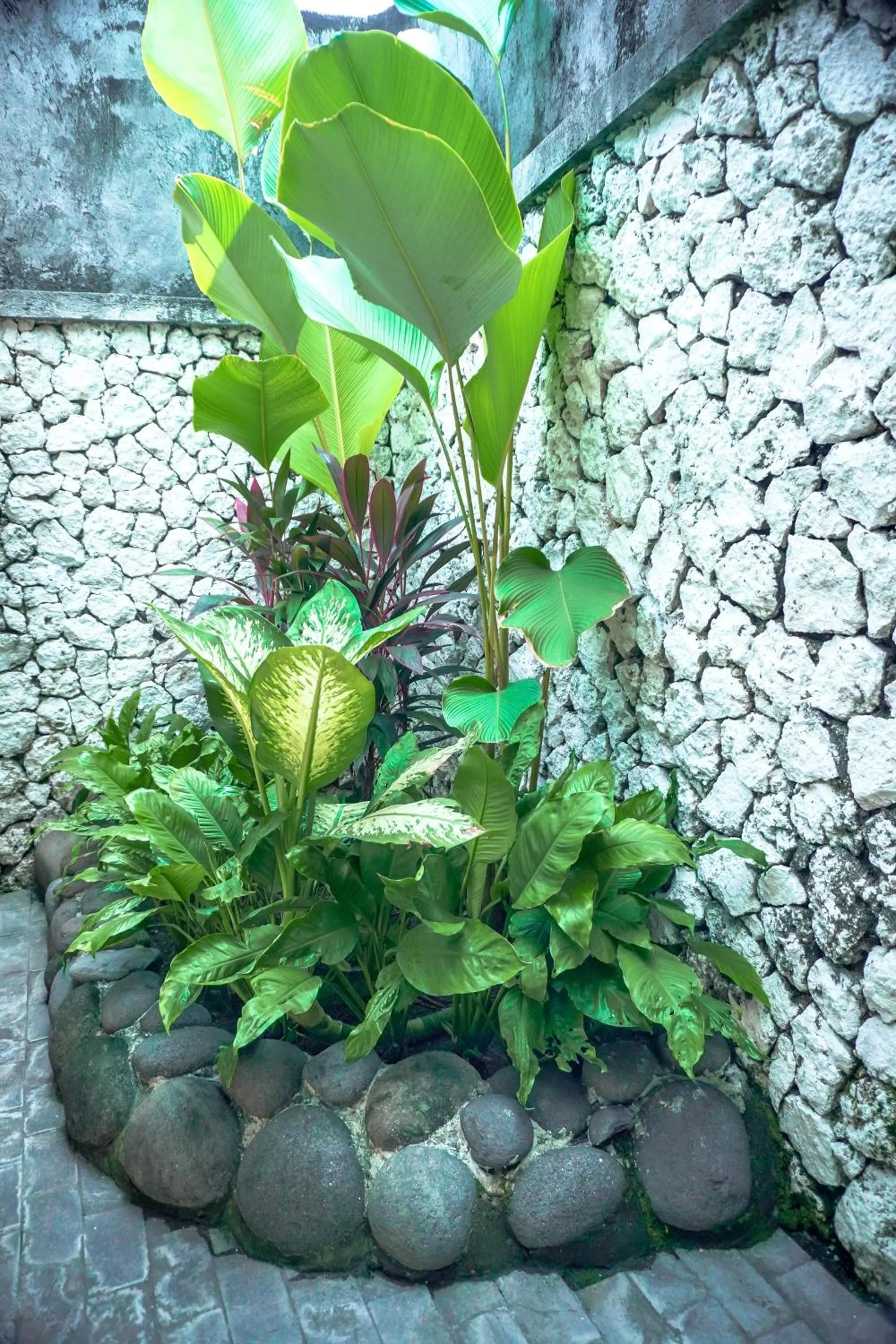 Bathroom in The Calmtree Bungalows