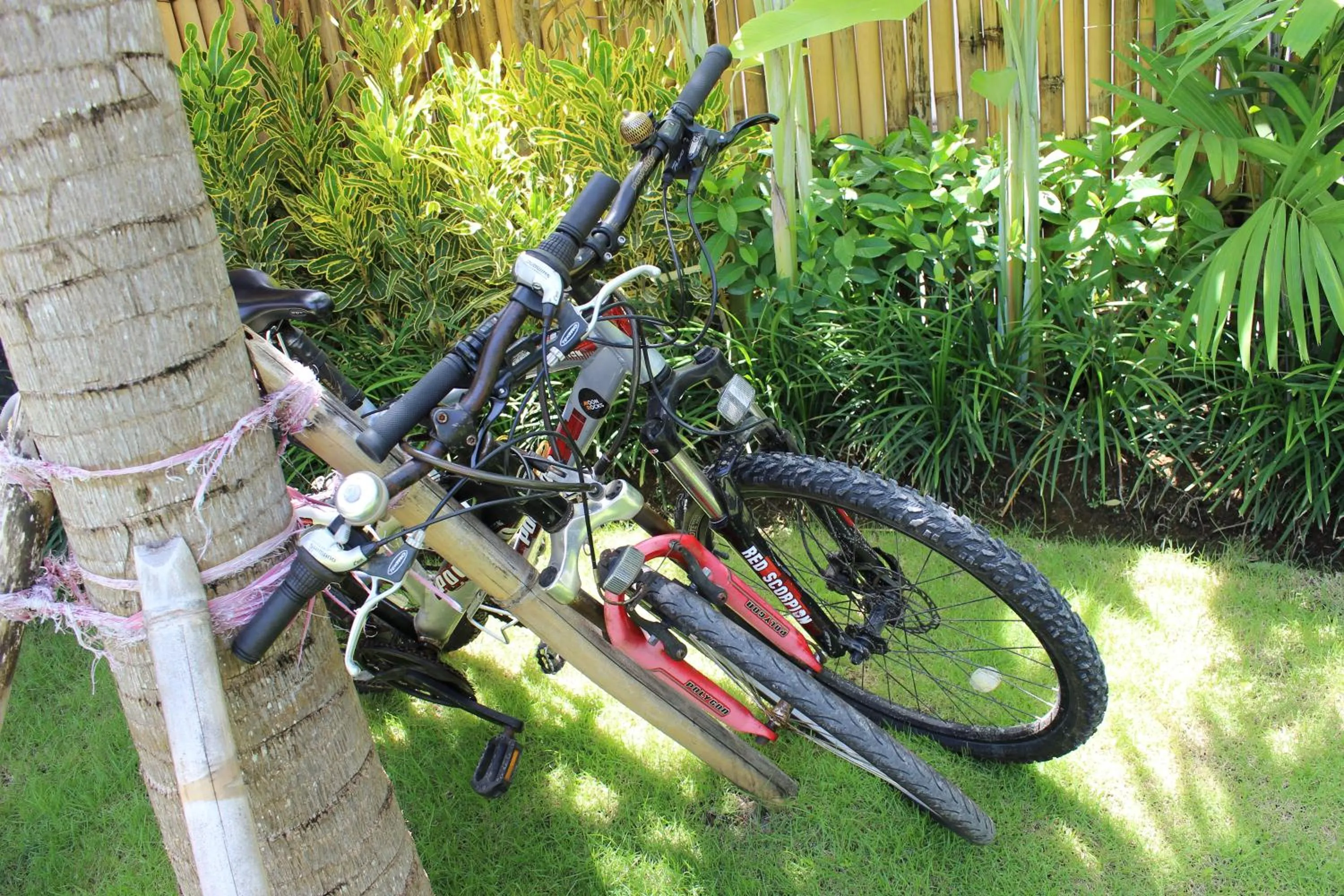 Garden in The Calmtree Bungalows
