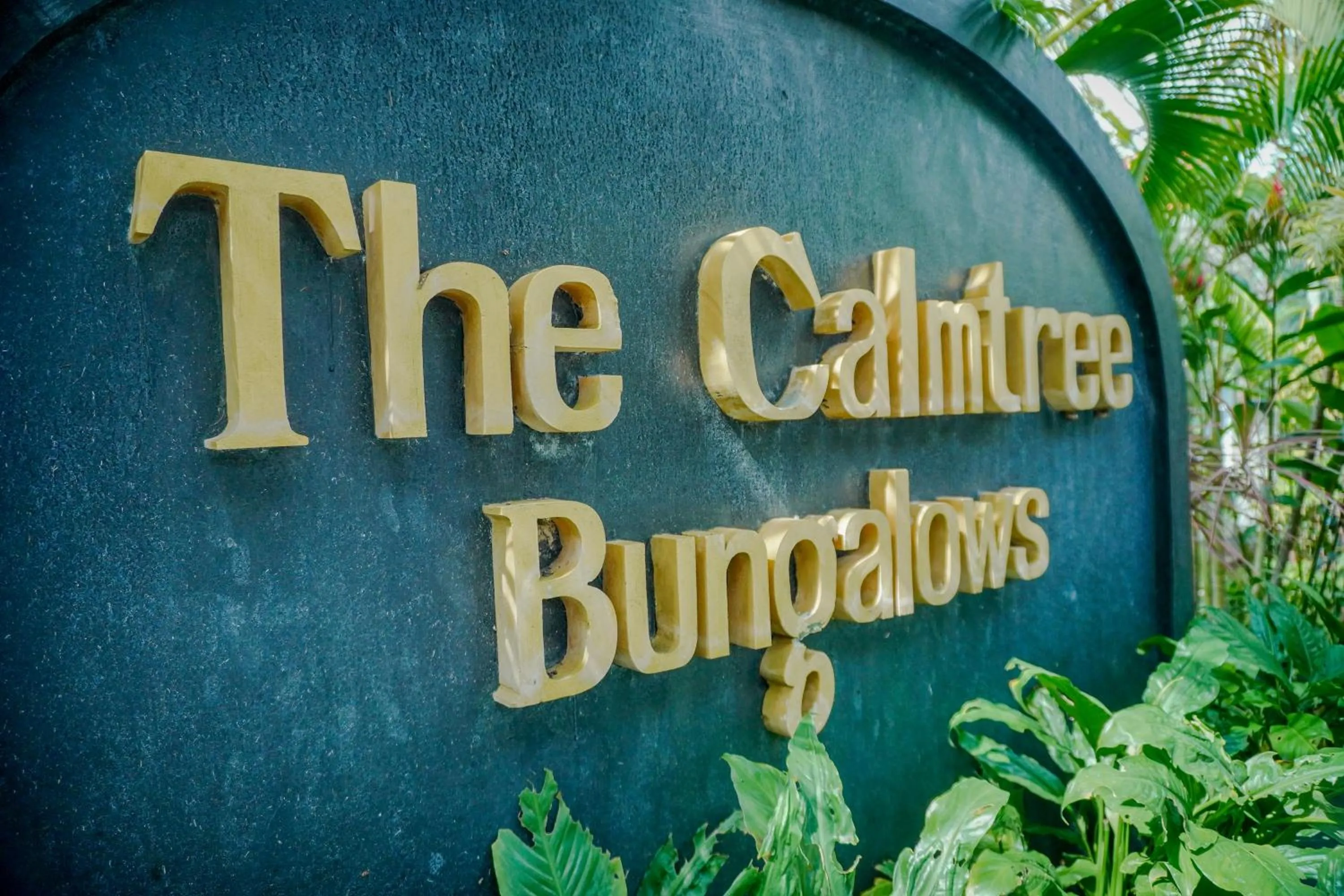 Property building in The Calmtree Bungalows