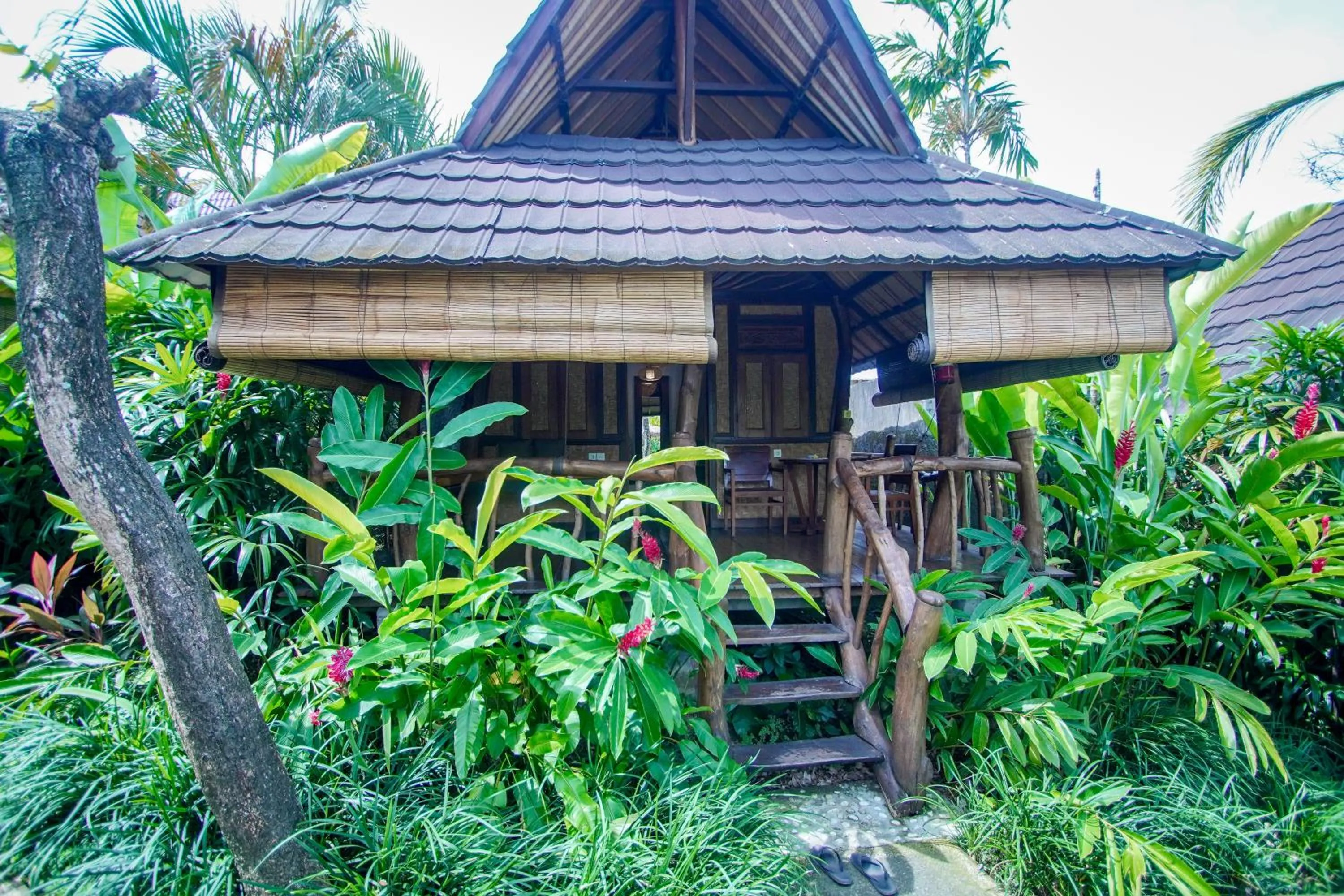 Property building in The Calmtree Bungalows