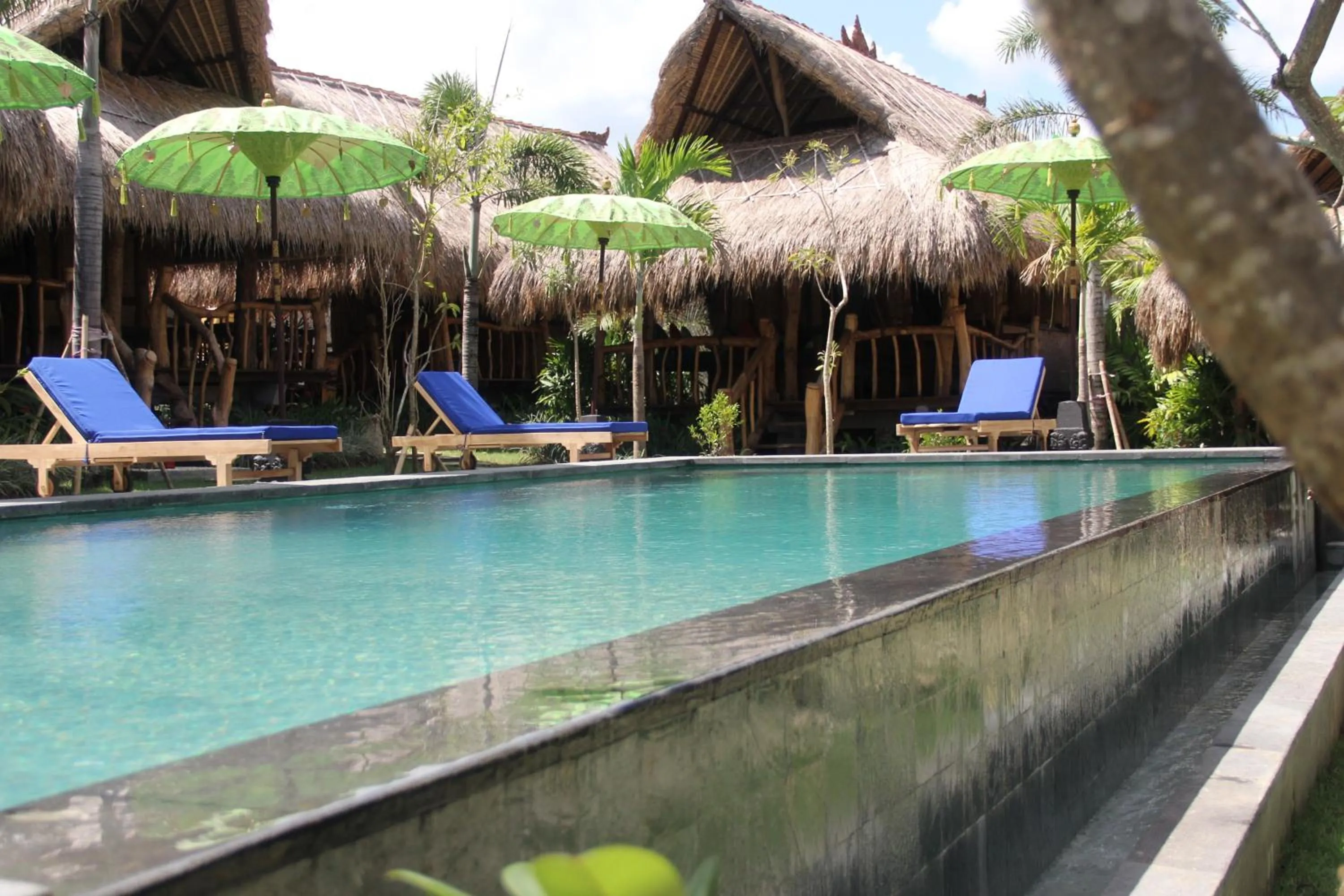 Swimming pool in The Calmtree Bungalows