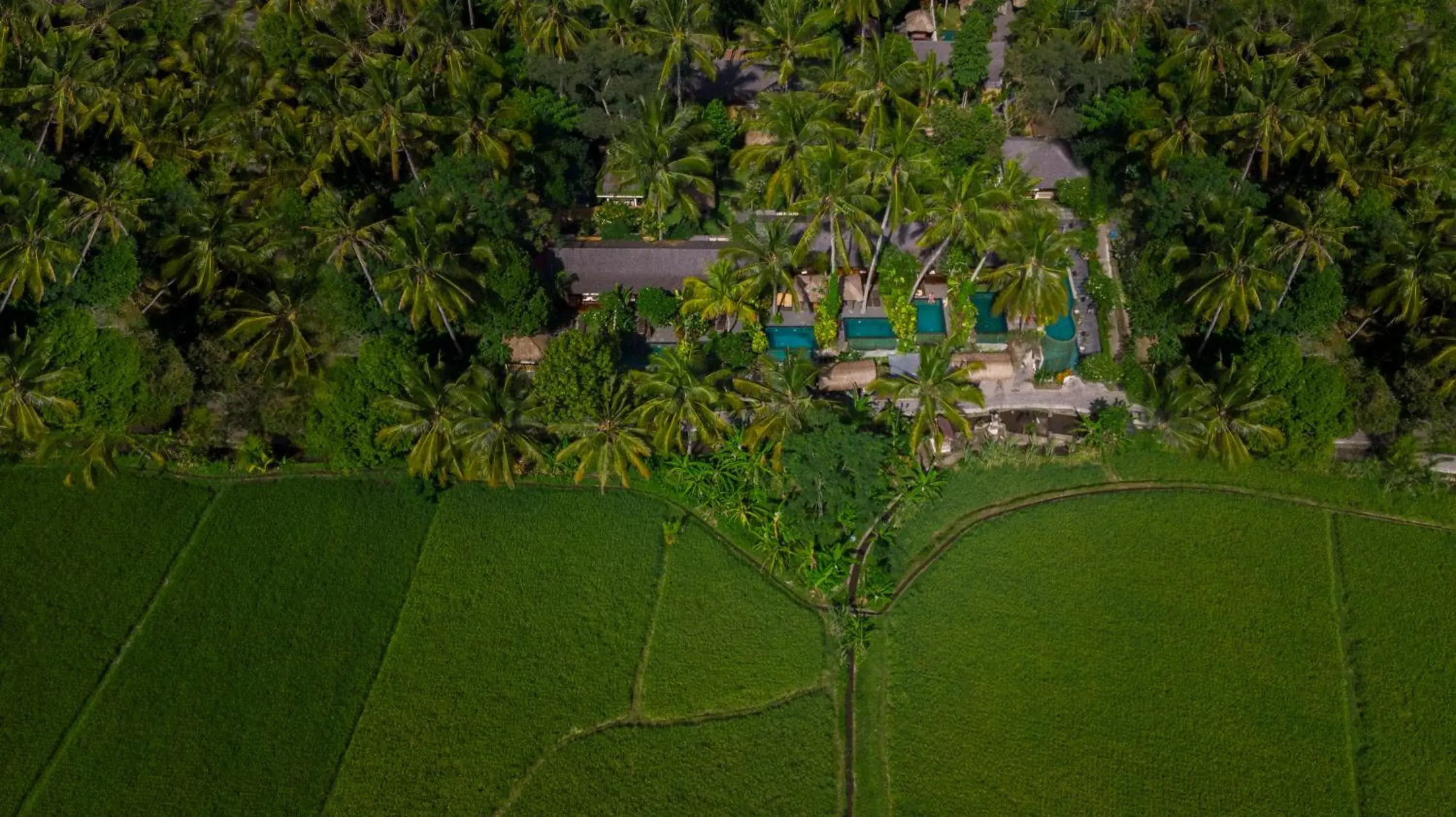 Bird's eye view in Ubud Padi Villas Bird's eye view in Ubud Padi Villas