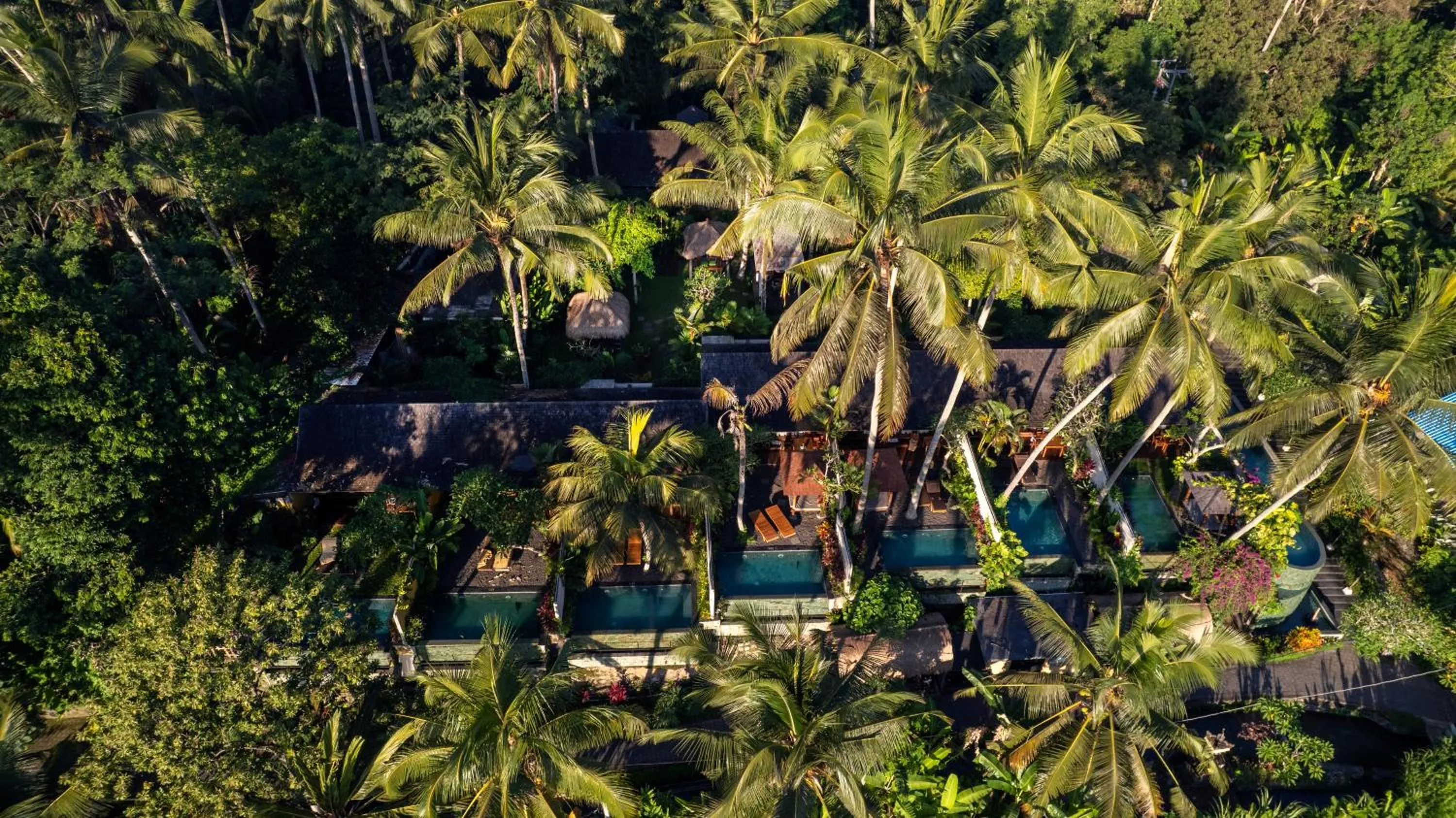 Natural landscape in Ubud Padi Villas