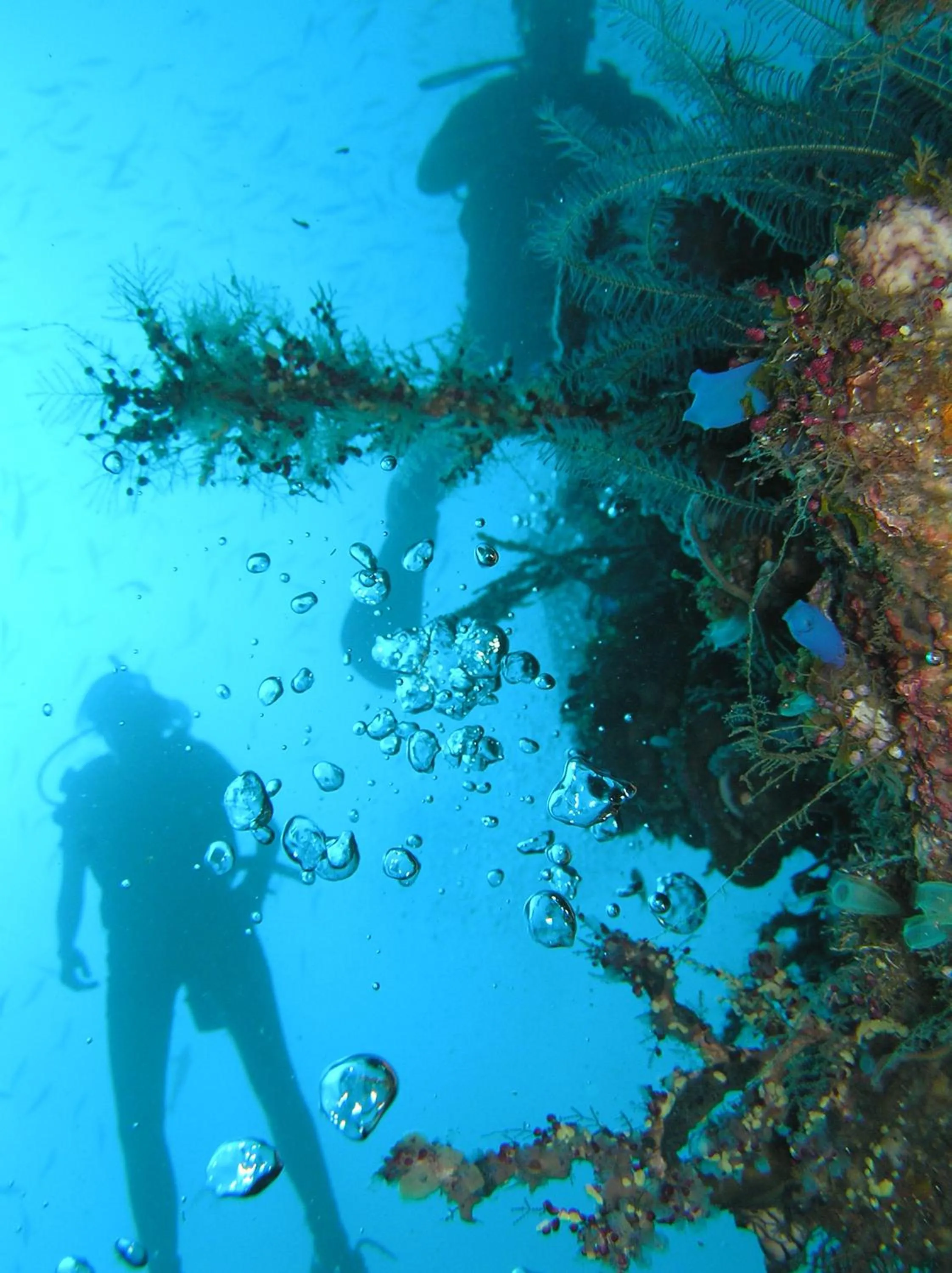 Snorkeling in The Griya Villas and Spa