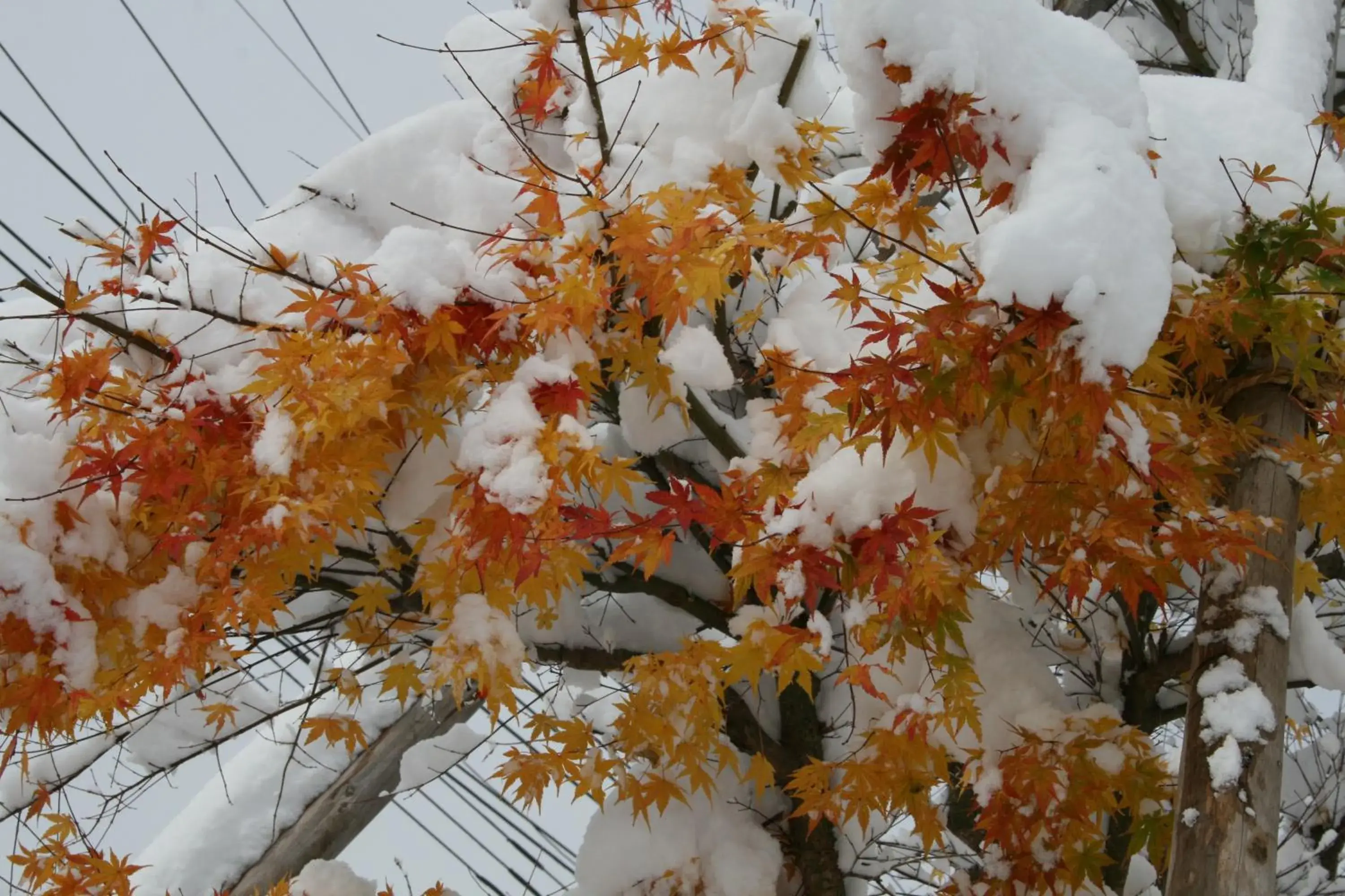 Winter in Akakura Wakui Hotel