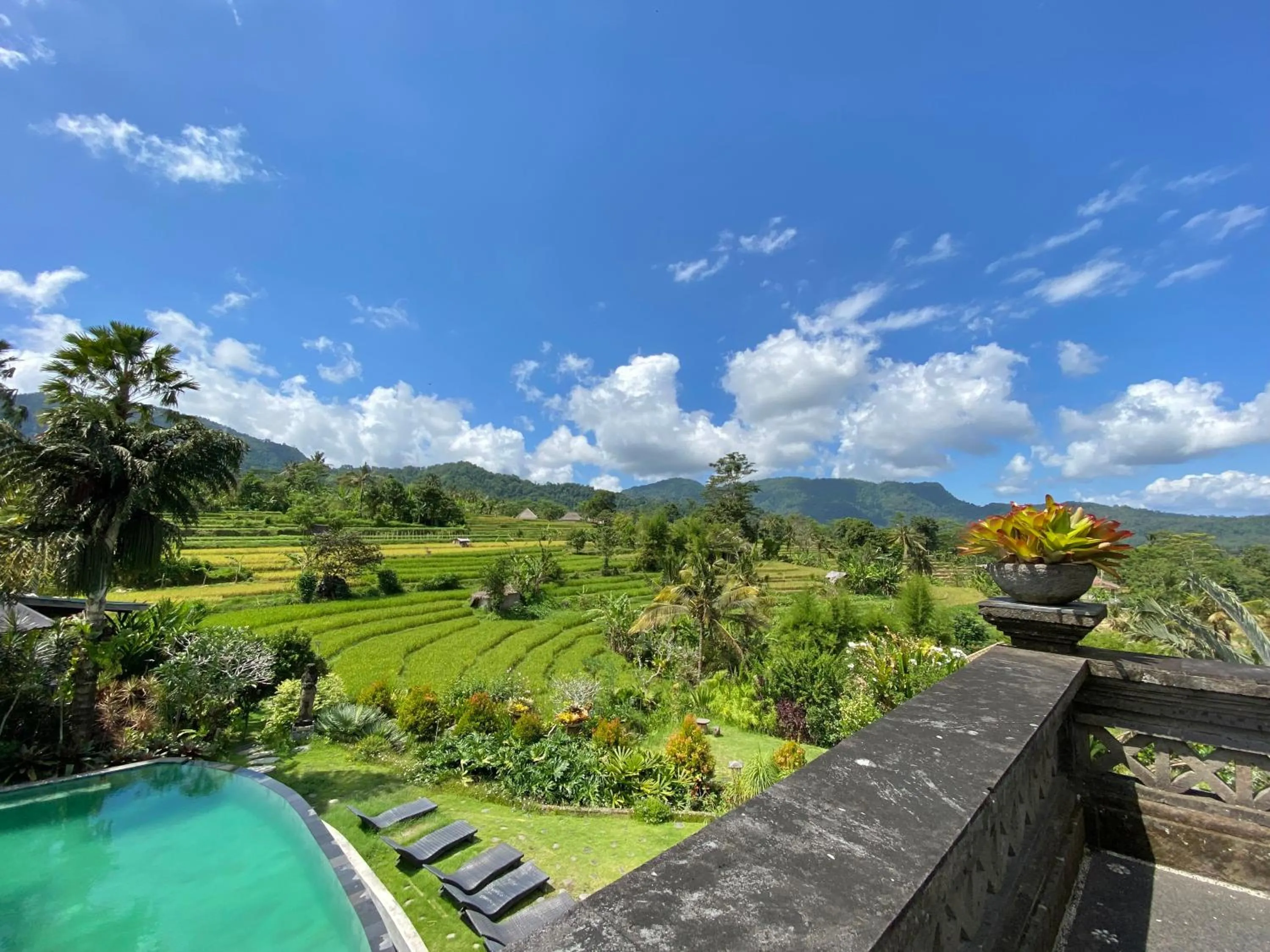Garden view in Sawah Indah Villa