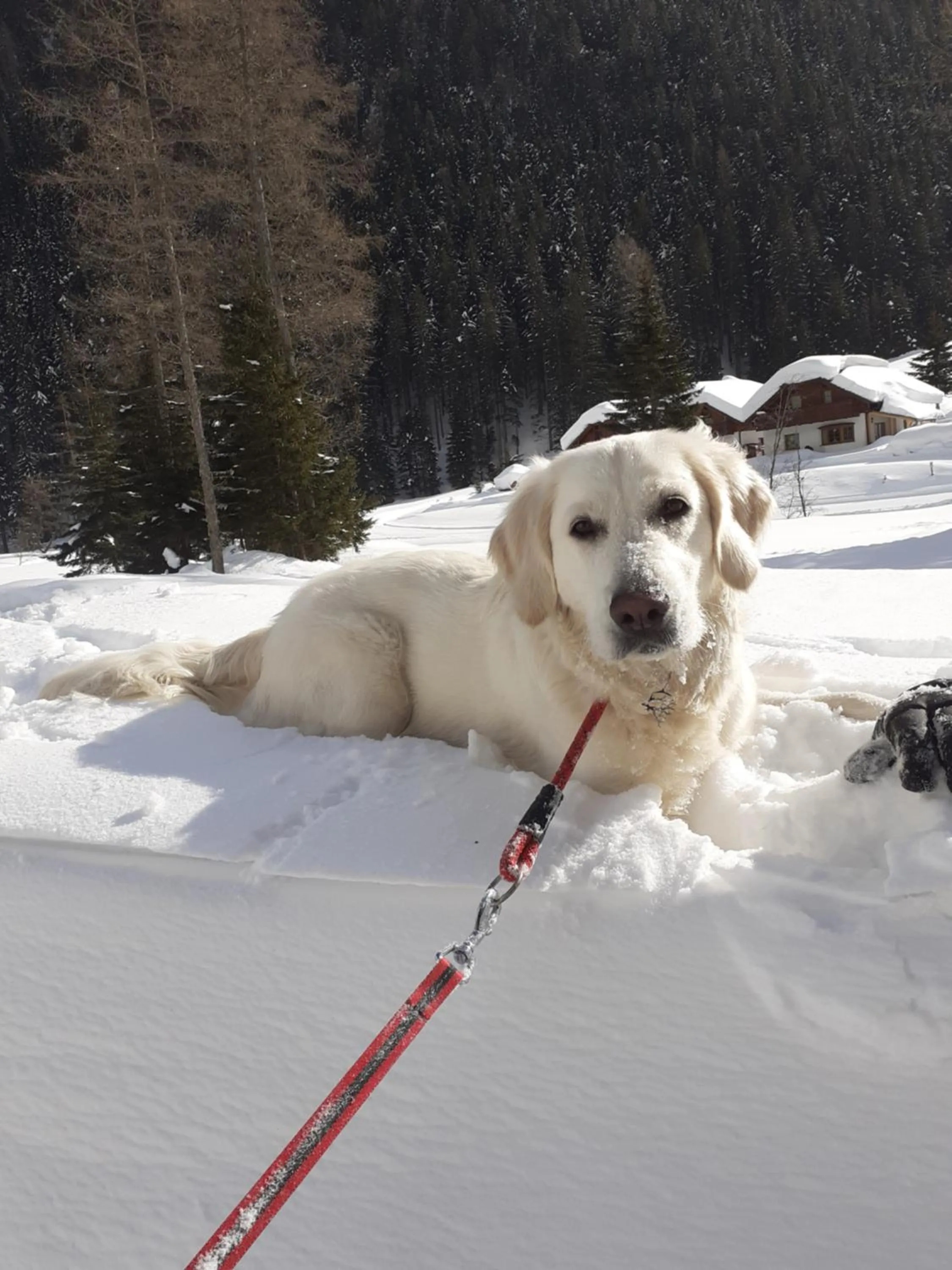 Zirnberg Appartements