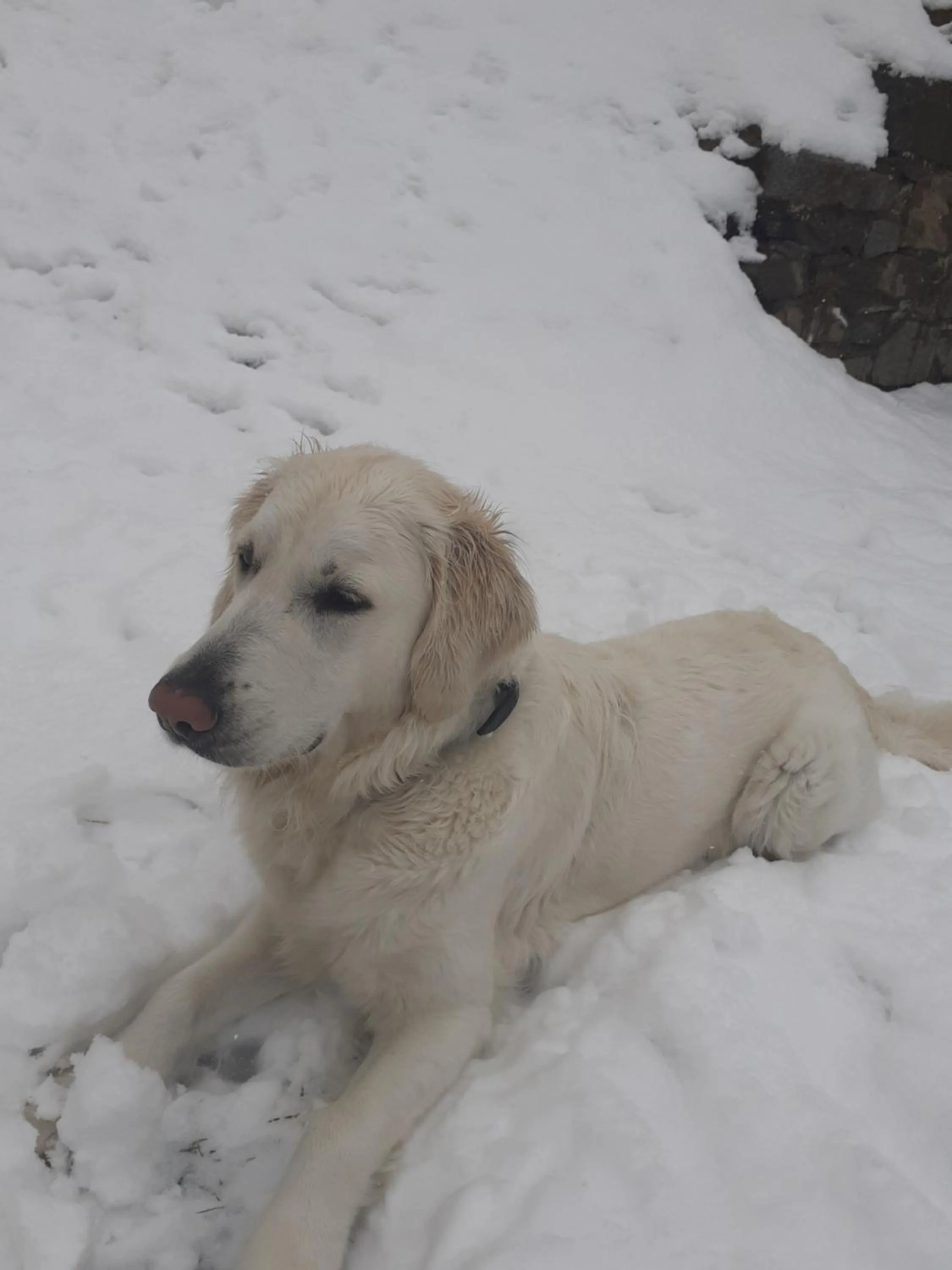 Zirnberg Appartements