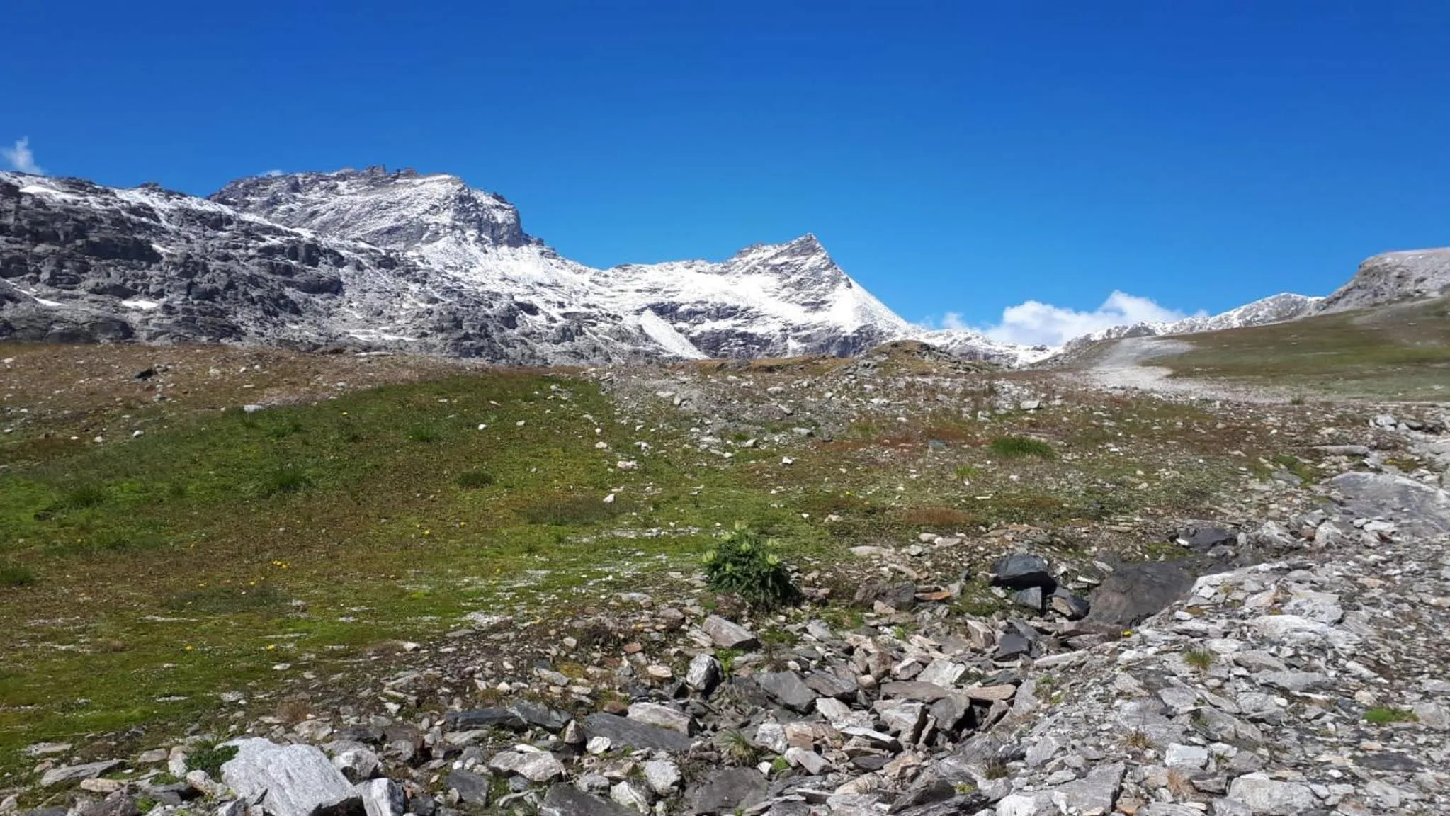 Zirnberg Appartements